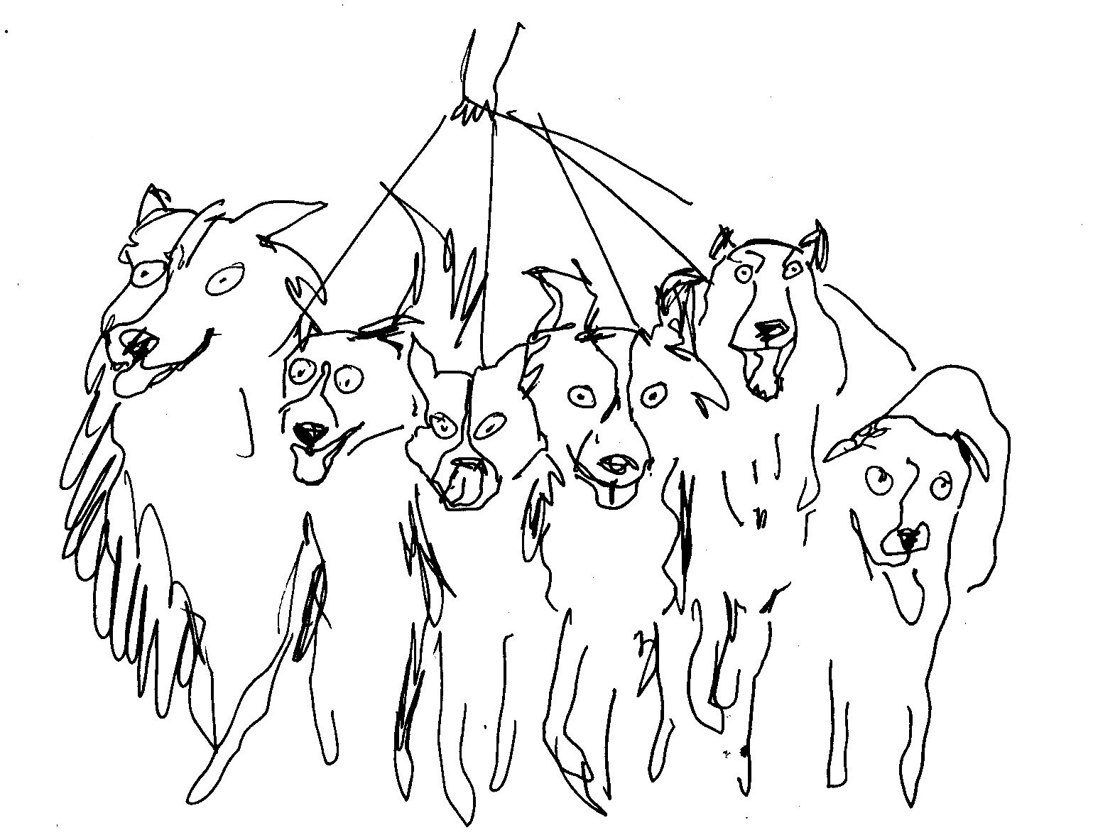 dog pack.jpg