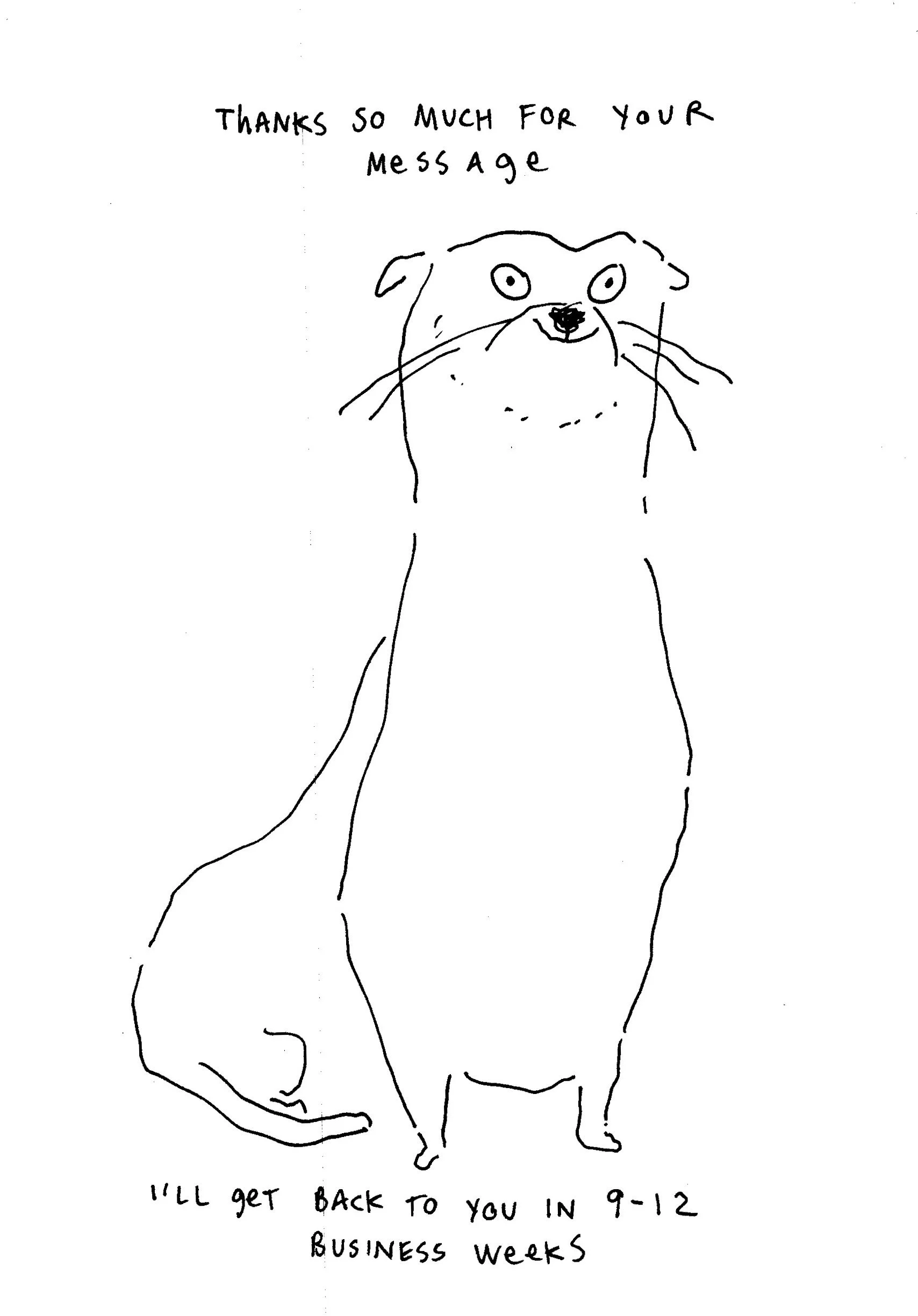 otter business.jpg