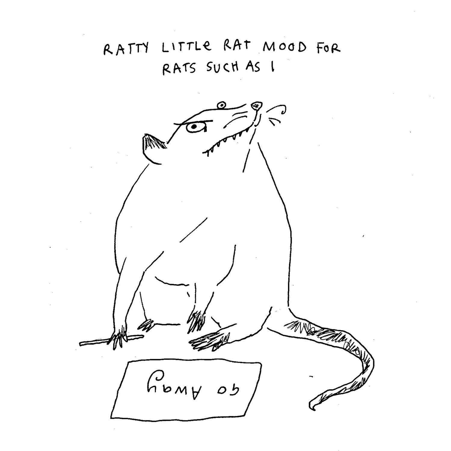 ratty rat.jpg