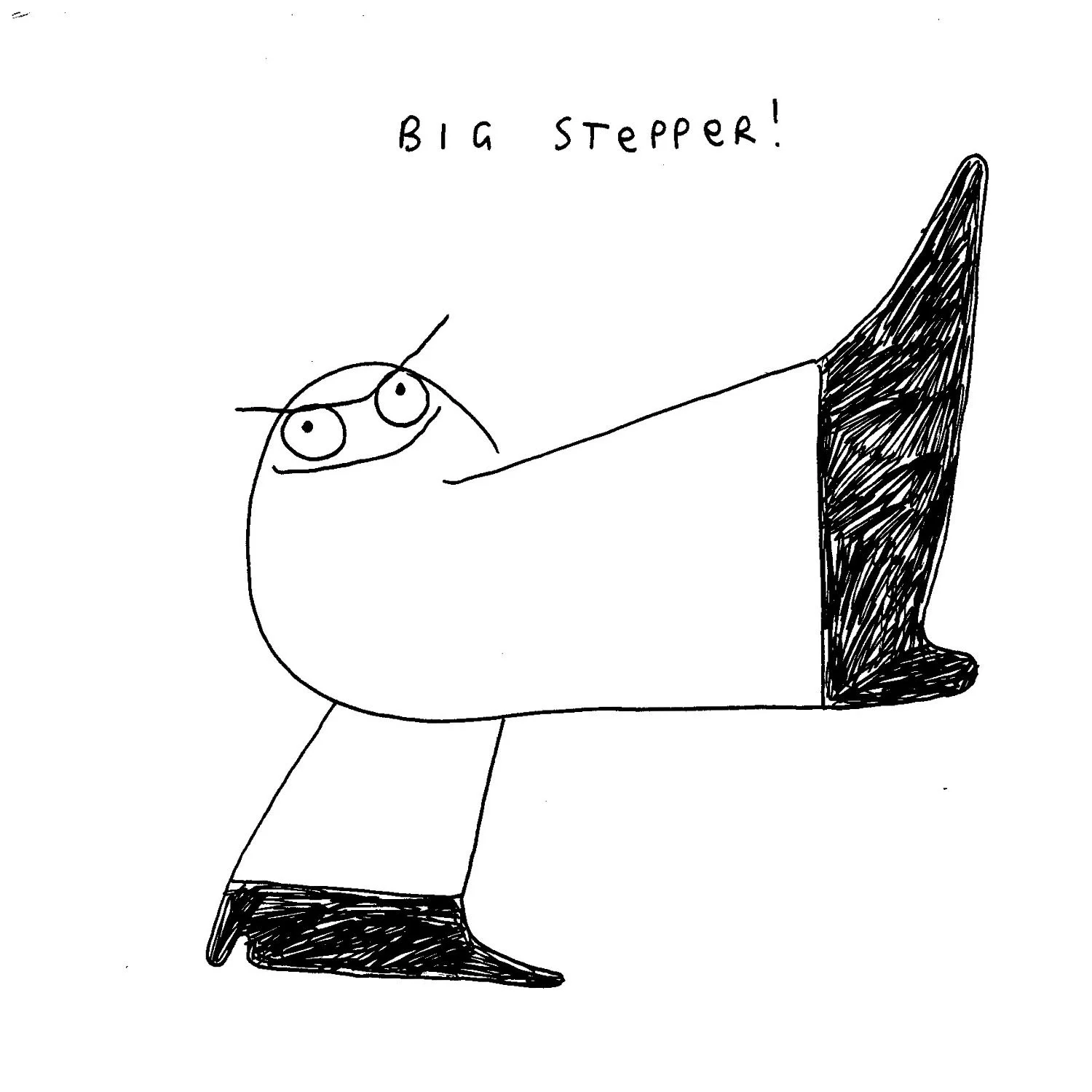 big stepper.jpg