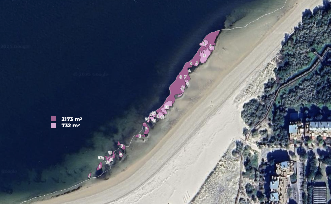 2026_Adoxe intertidal seagrass meadow map.png