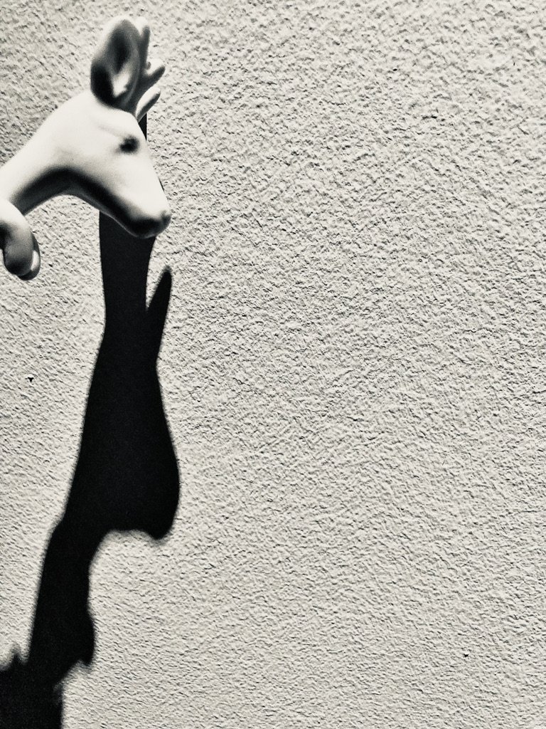 Deer .jpeg
