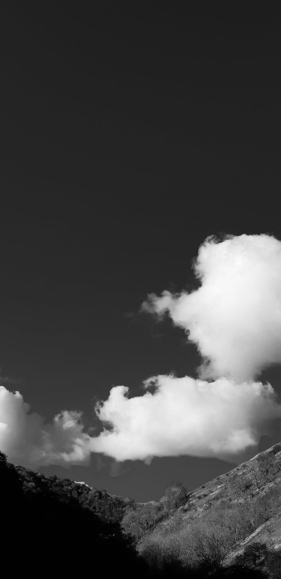 20181028_123132.jpg