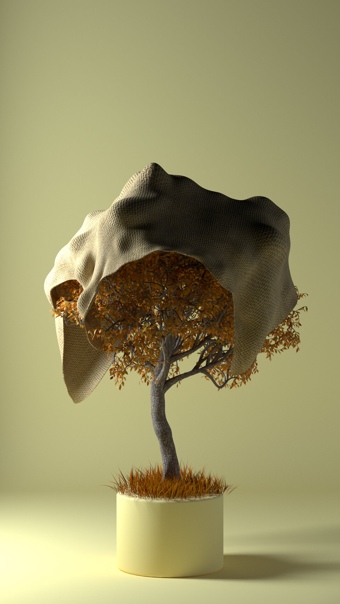 tree0025.jpg