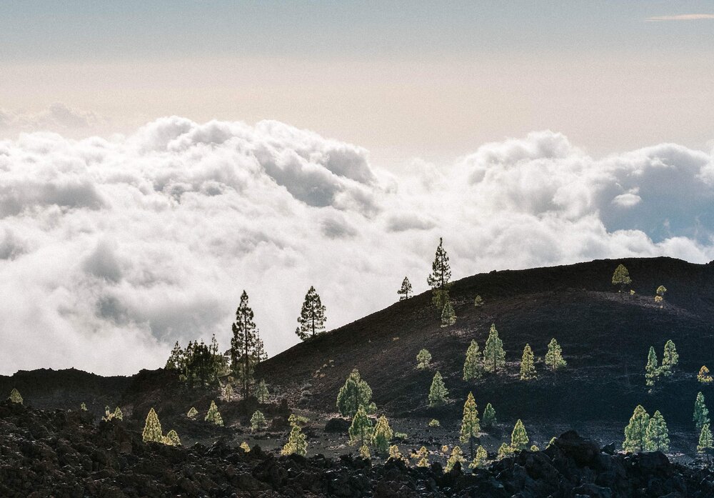 Teide National park