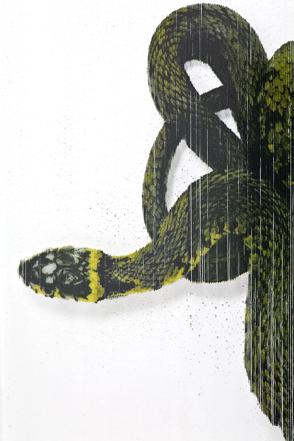 sarmiento_slither_2013_detail_web.jpg