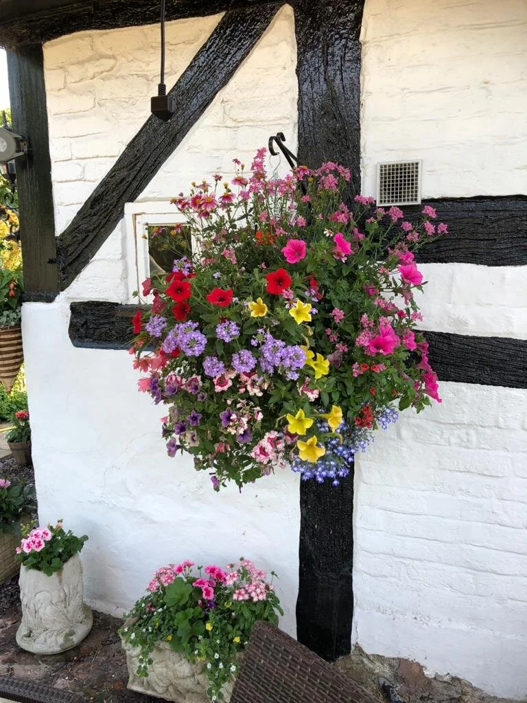 WhatsApp Image 2020-03-31 at 17.33.05 (1).jpeg