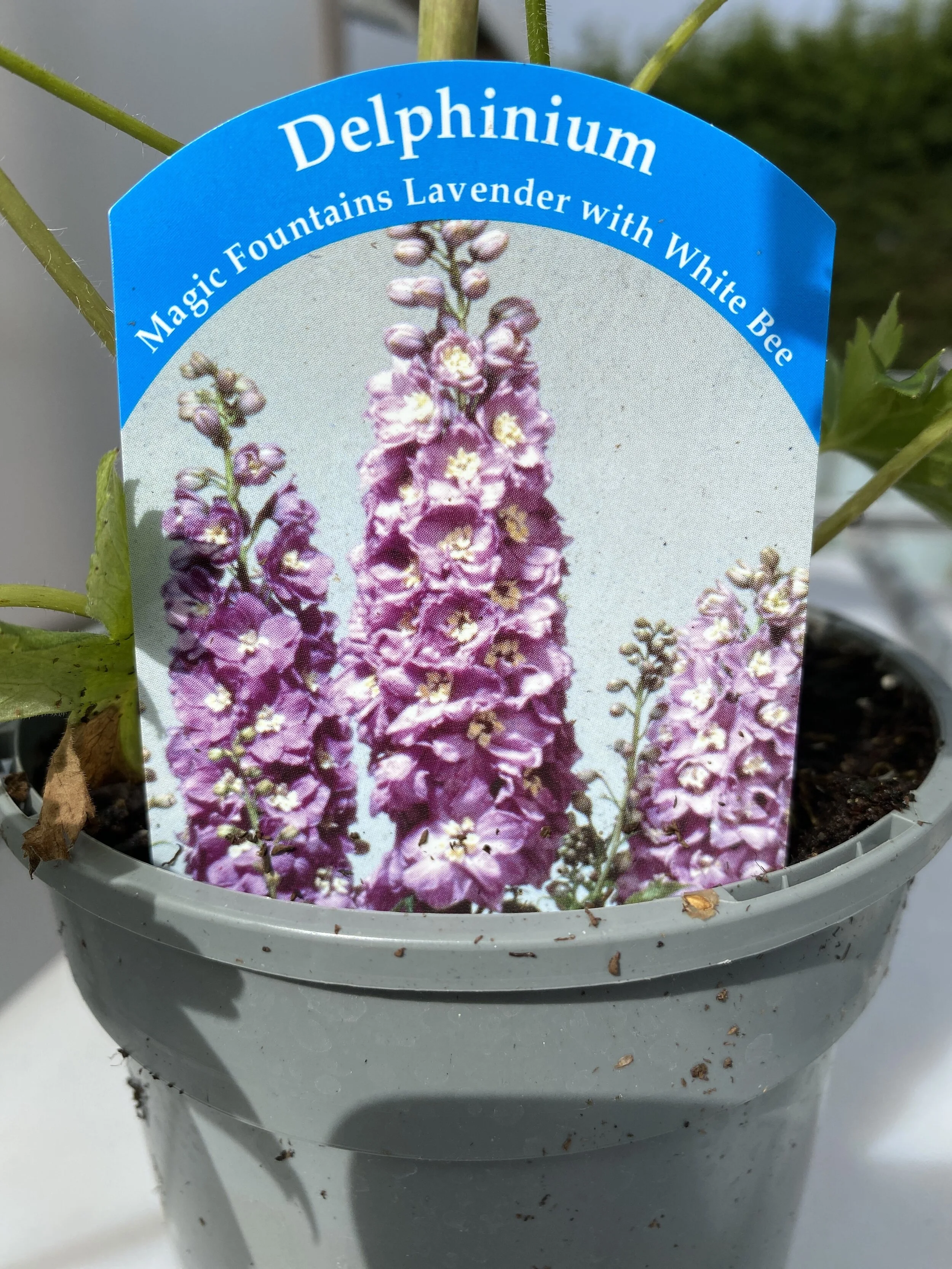 EEF9114E-3062-495C-8A74-C87170BEA6E5