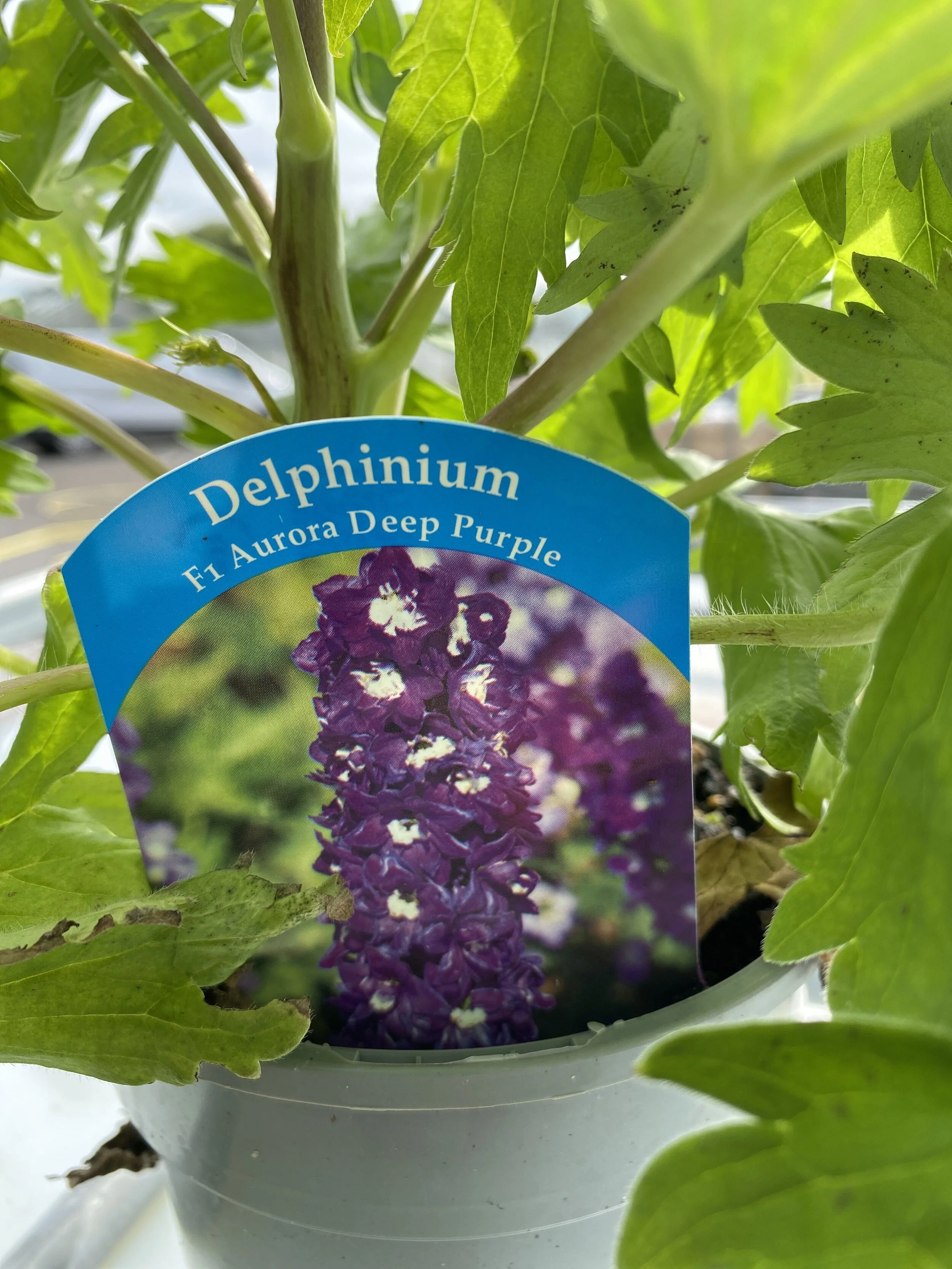 C471DF9E-B9E0-4D9F-806B-FB28DC52CDEA