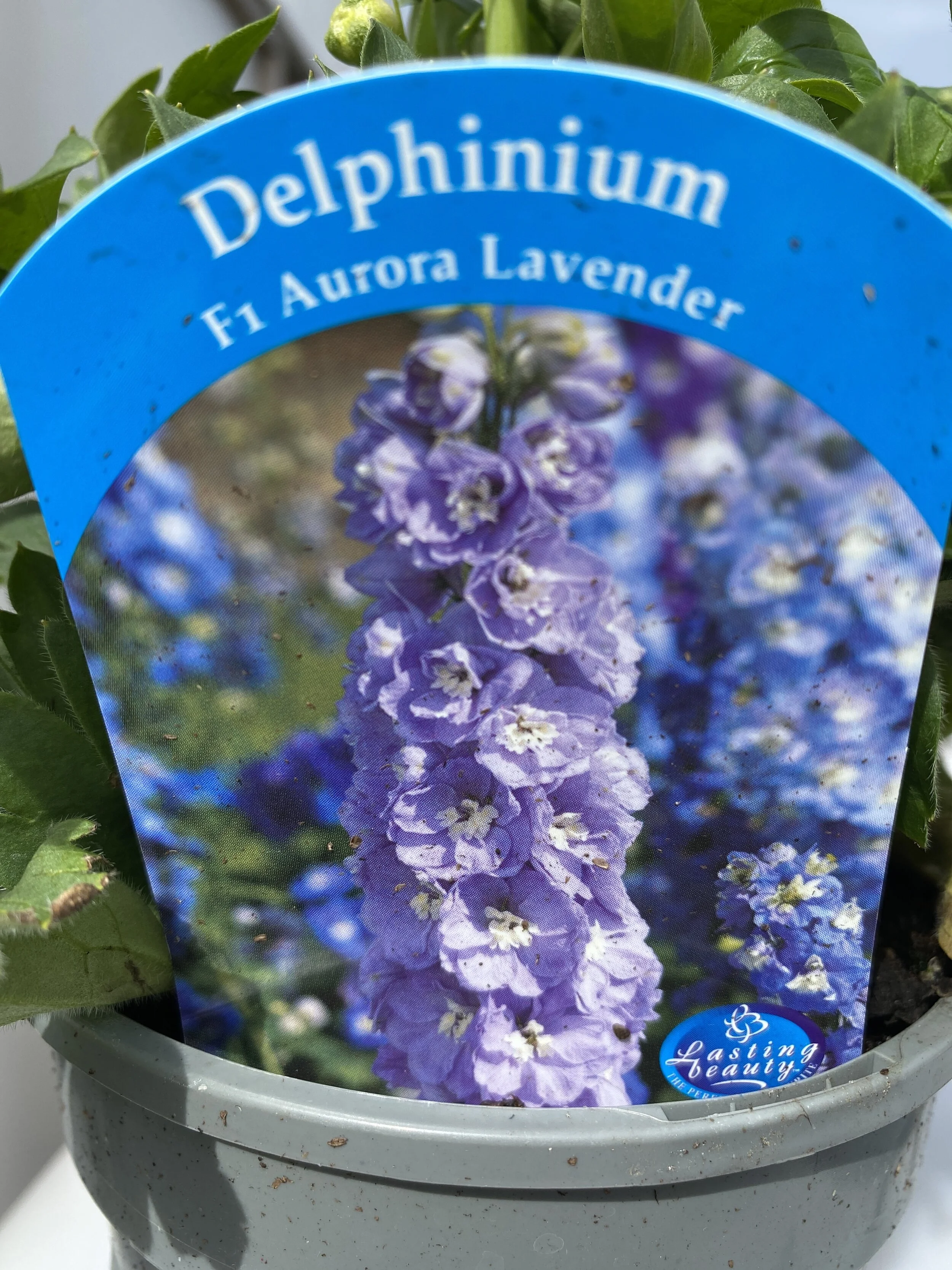 9996A0EF-A921-4381-AE26-76C61FE0DA80