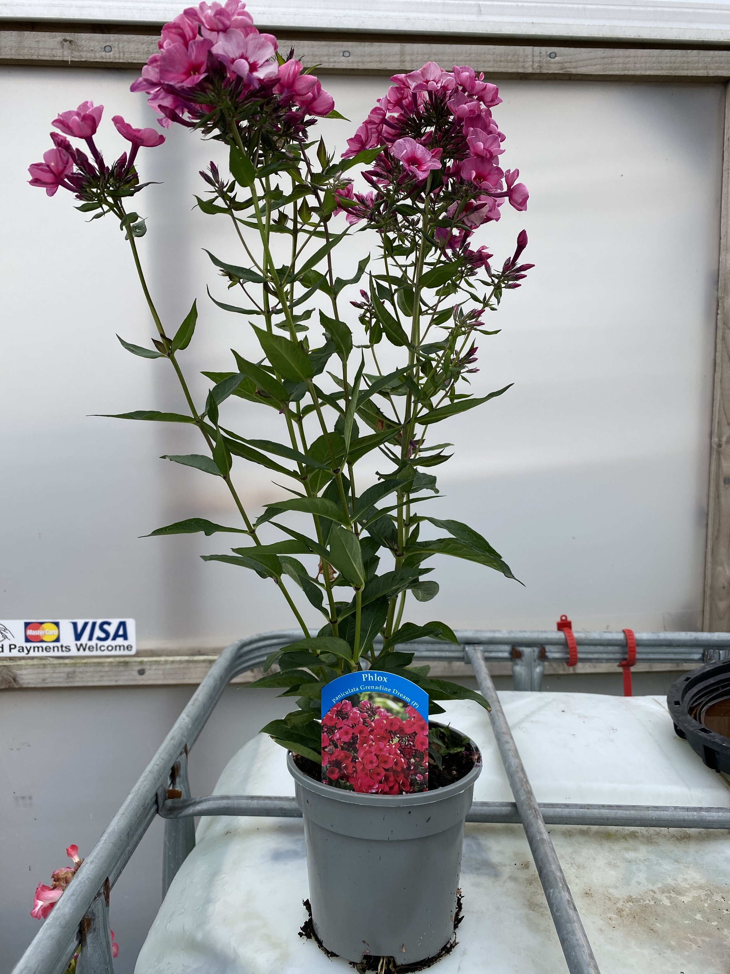 019565B5-457D-4884-A3CA-9384C34B6AA9