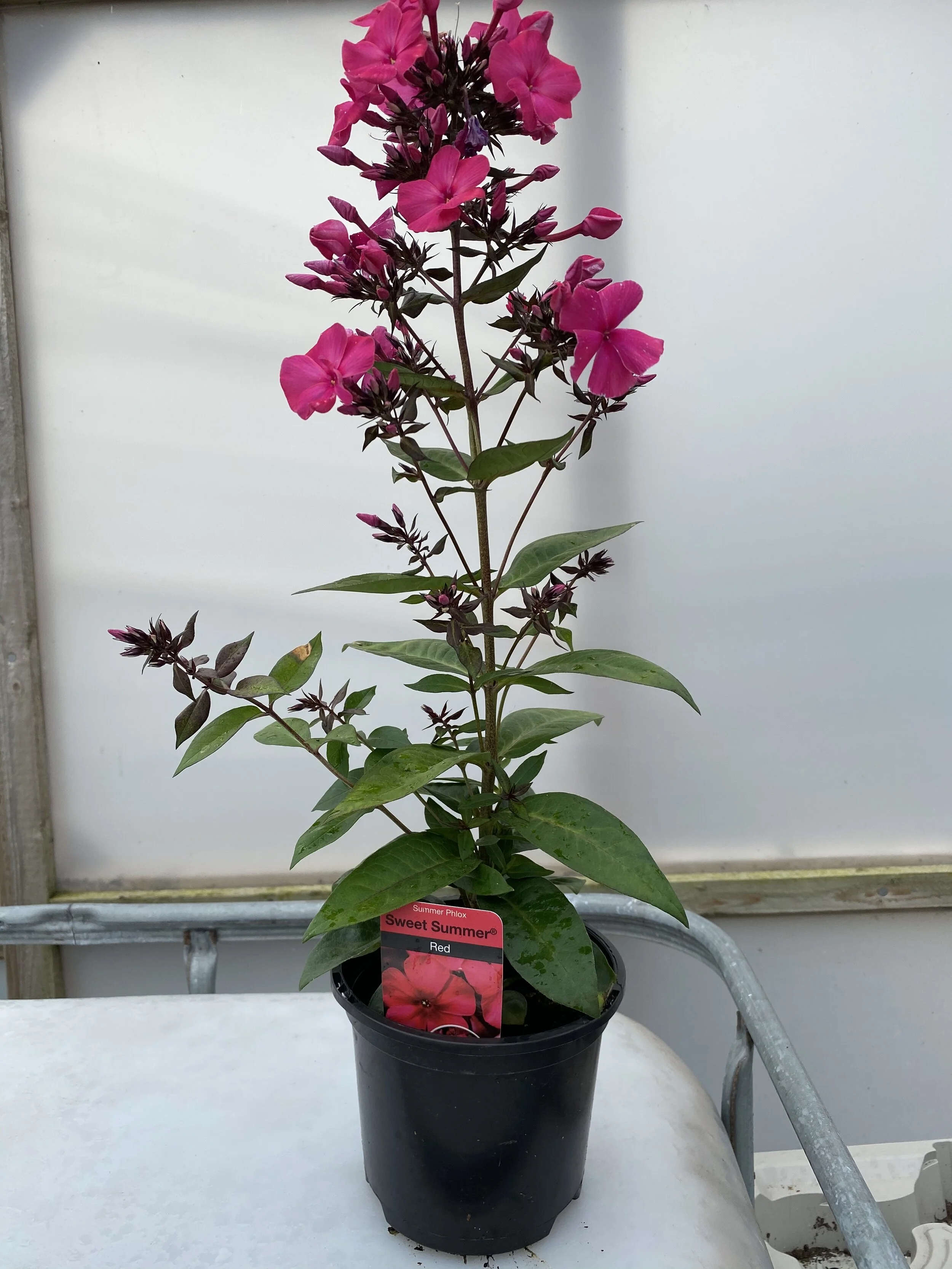 5721801A-D790-4C29-81FE-C02F04A6EC70