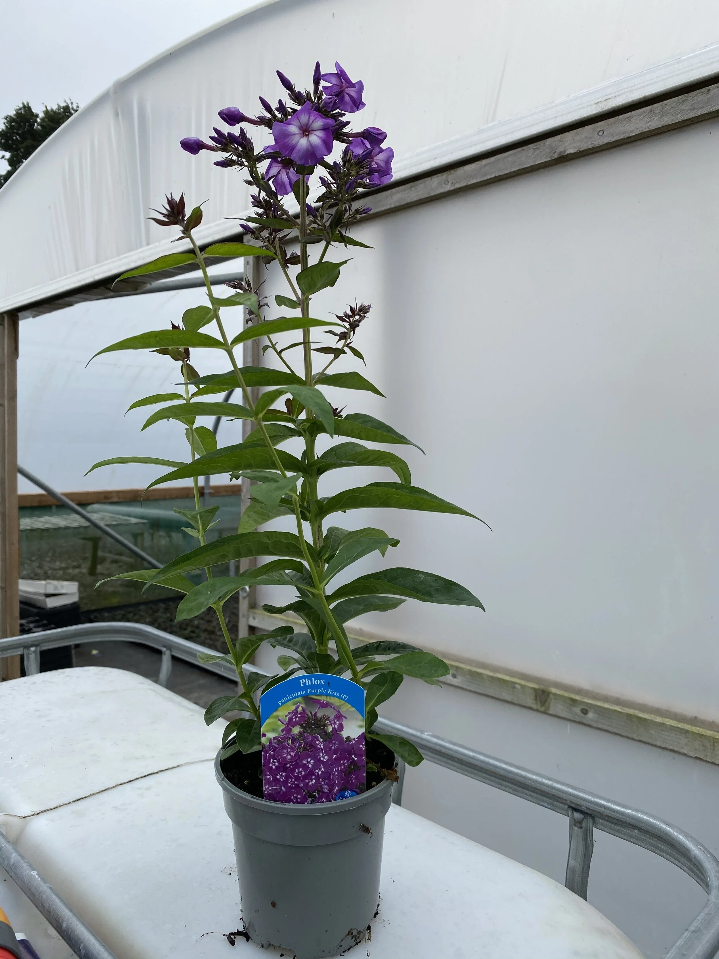 9870039E-1EC2-4DD5-950A-626137CA9880