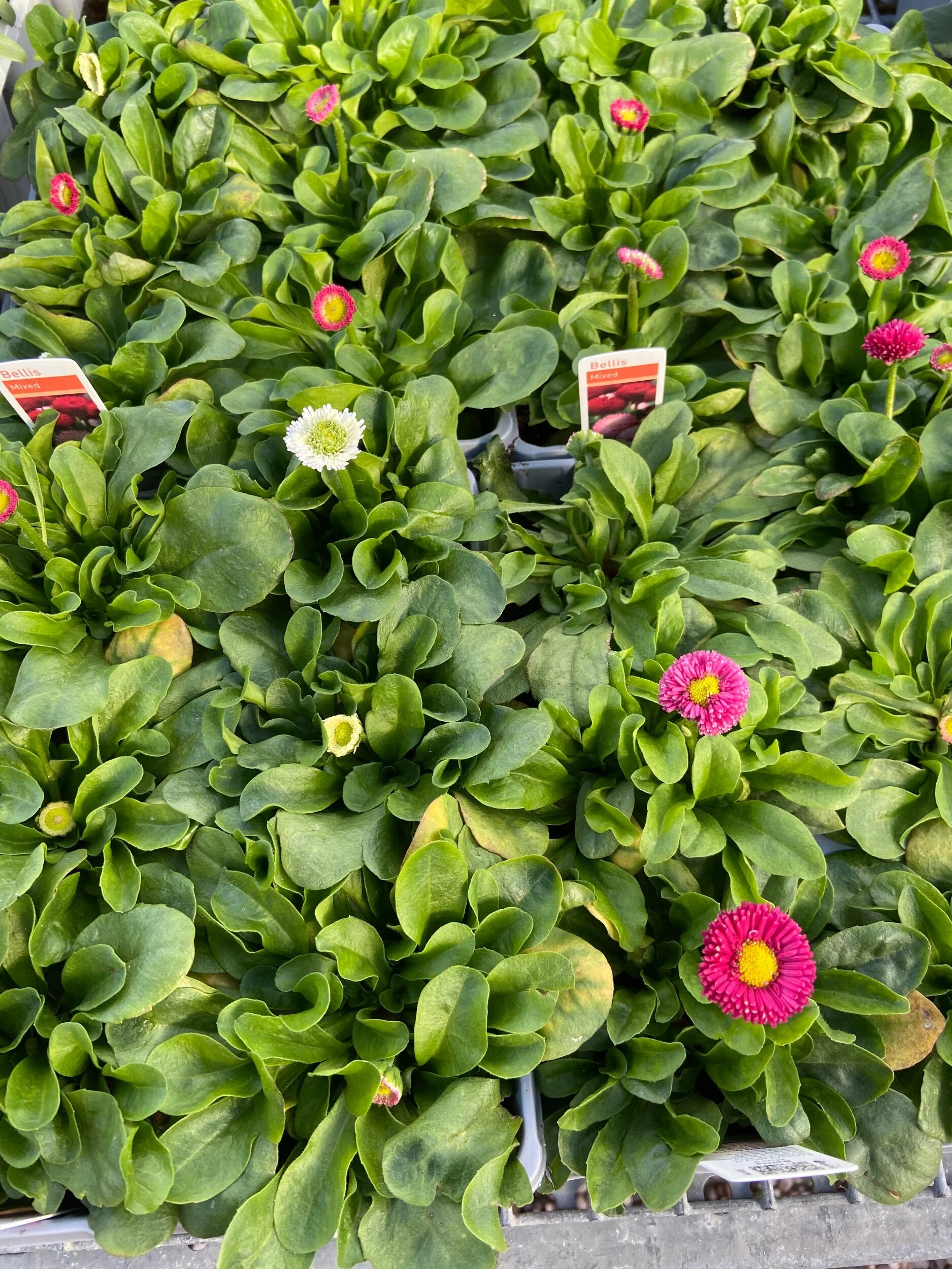 923640C3-477A-4E6F-8AFB-5D4236D6F0AB