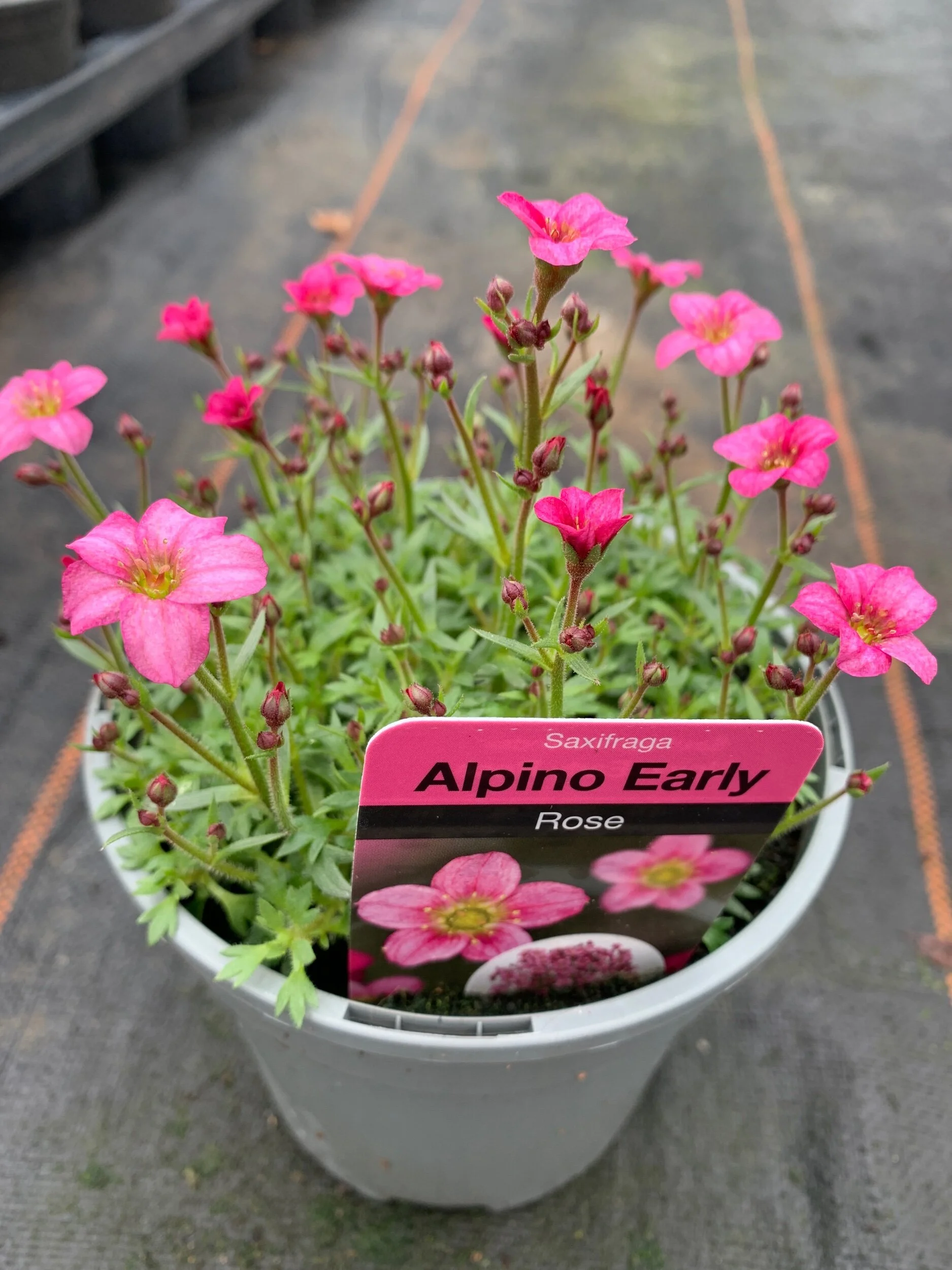 14D30350-8720-4ABB-B7D6-60138726FAC7