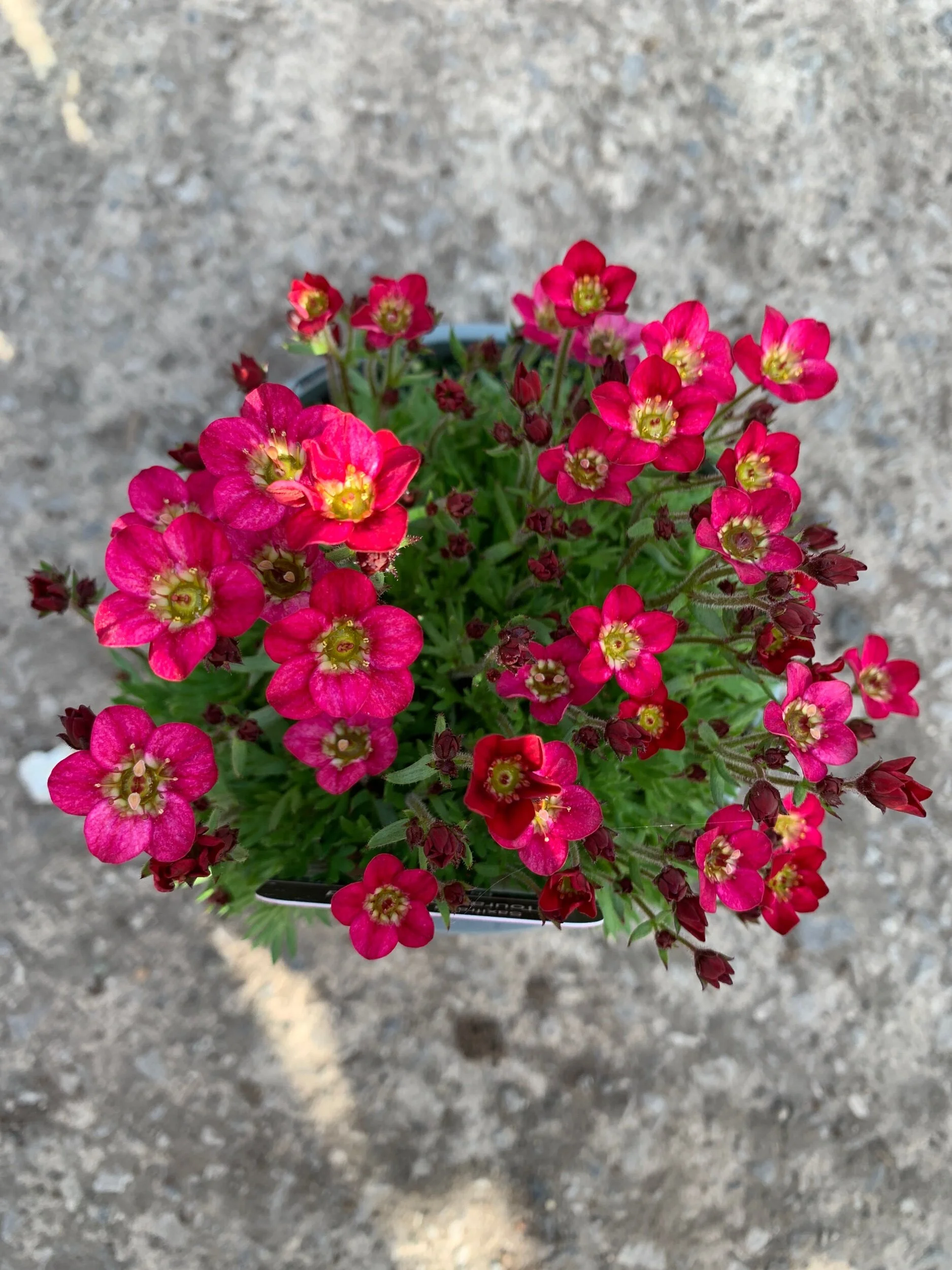 754F0D6E-02E0-4DA9-BFCE-DB8E04F22D76