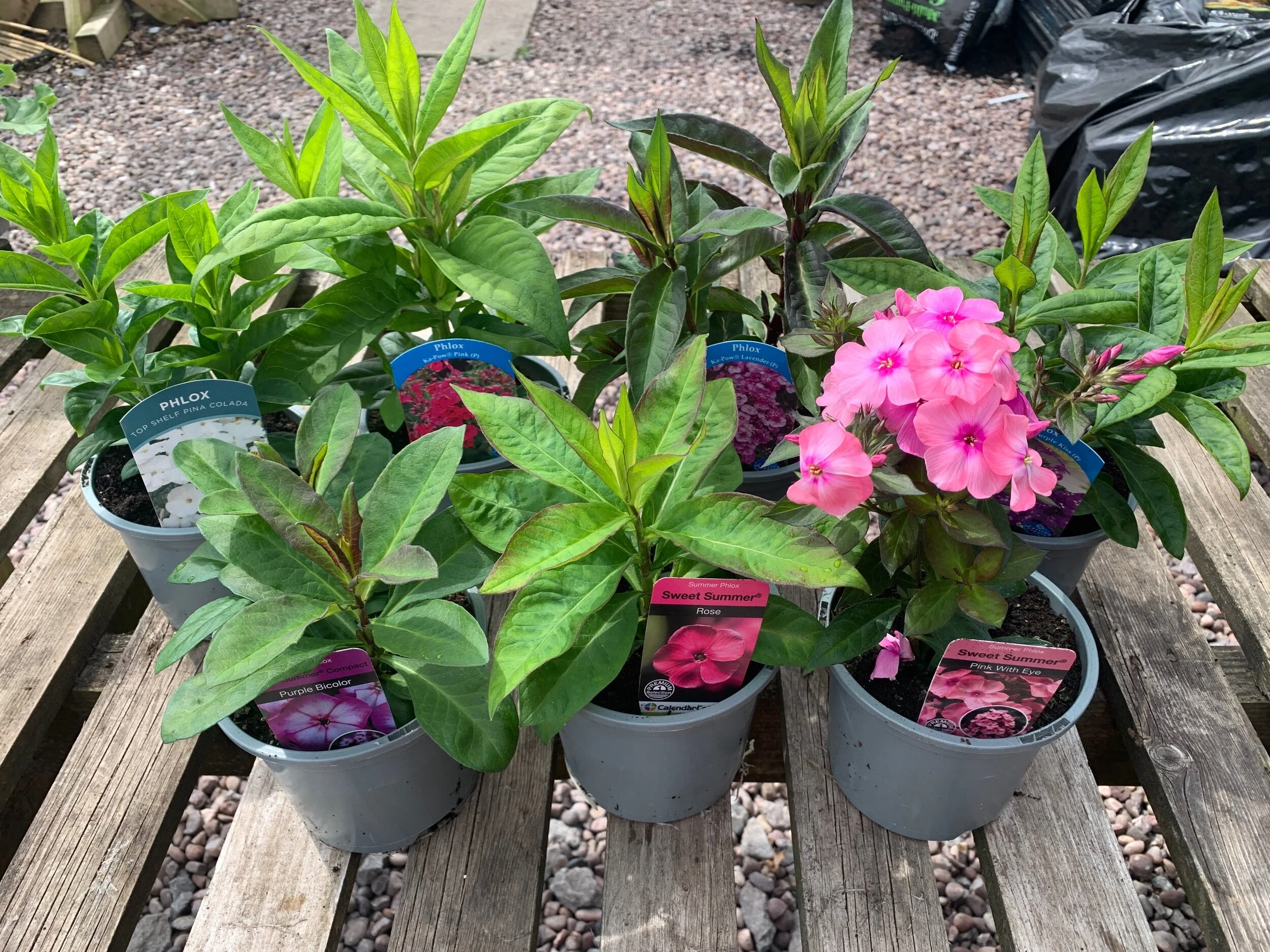 65160E54-6DB8-4E72-9923-C30A59261FE8