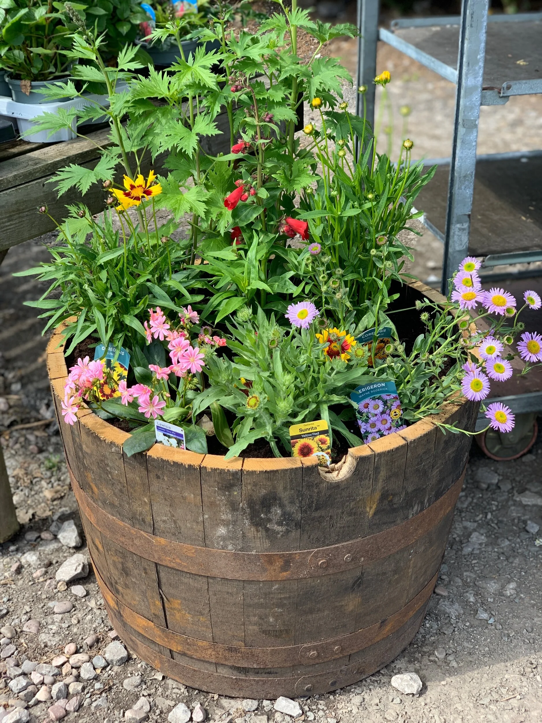 9B7BCD76-4A04-4674-9410-C18A4A68061C