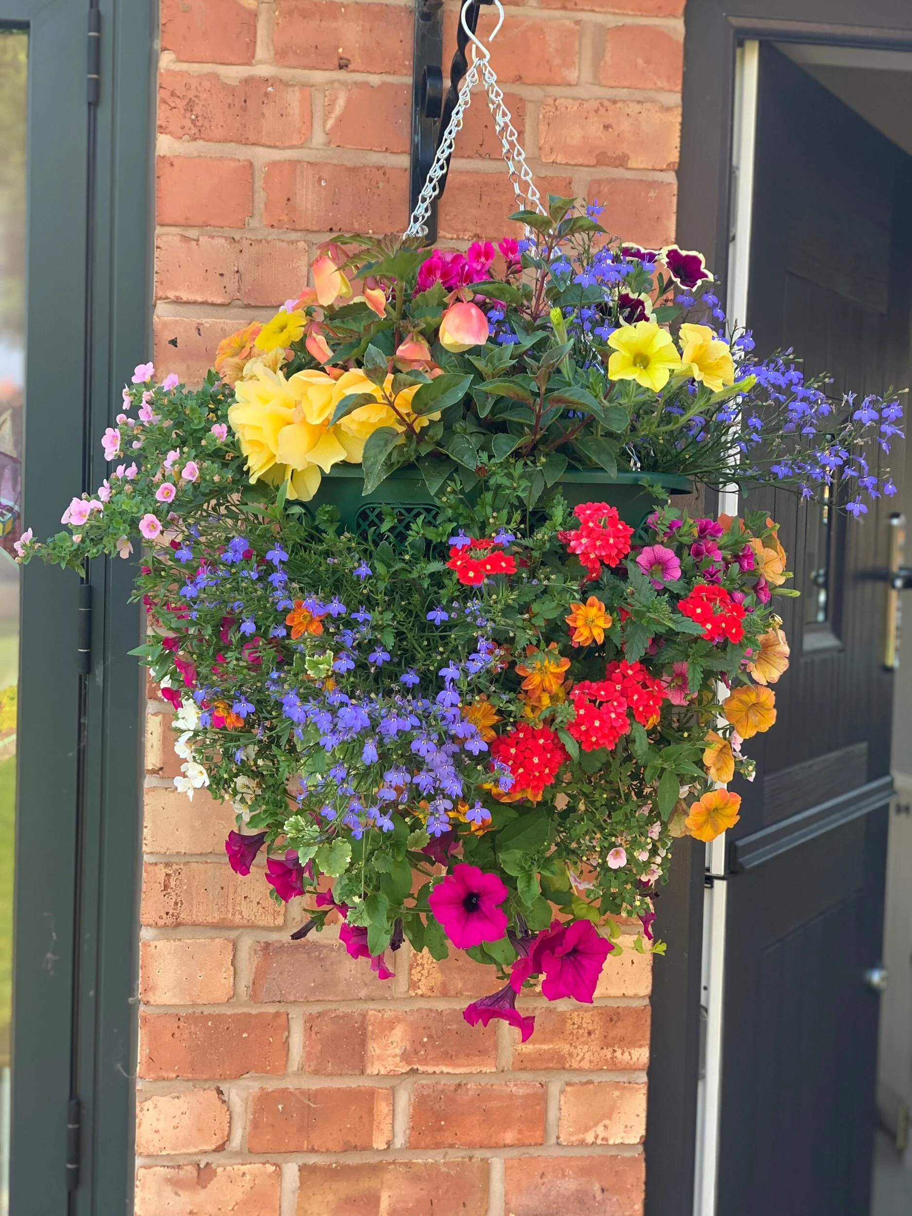 CC06F255-8C6F-4C22-9AE7-C7997C9AABE2