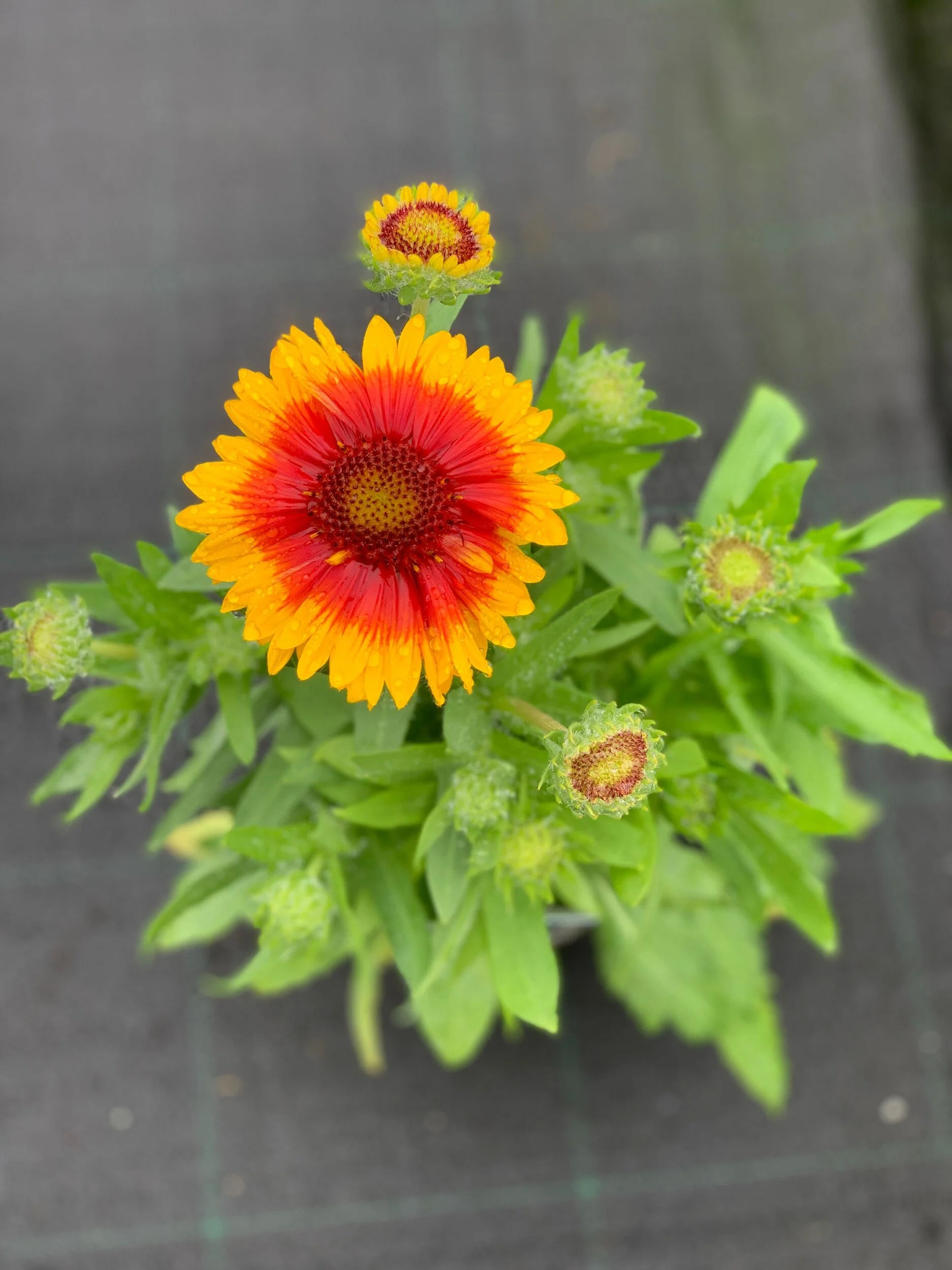 CE616970-7614-4916-9606-33F81795D760