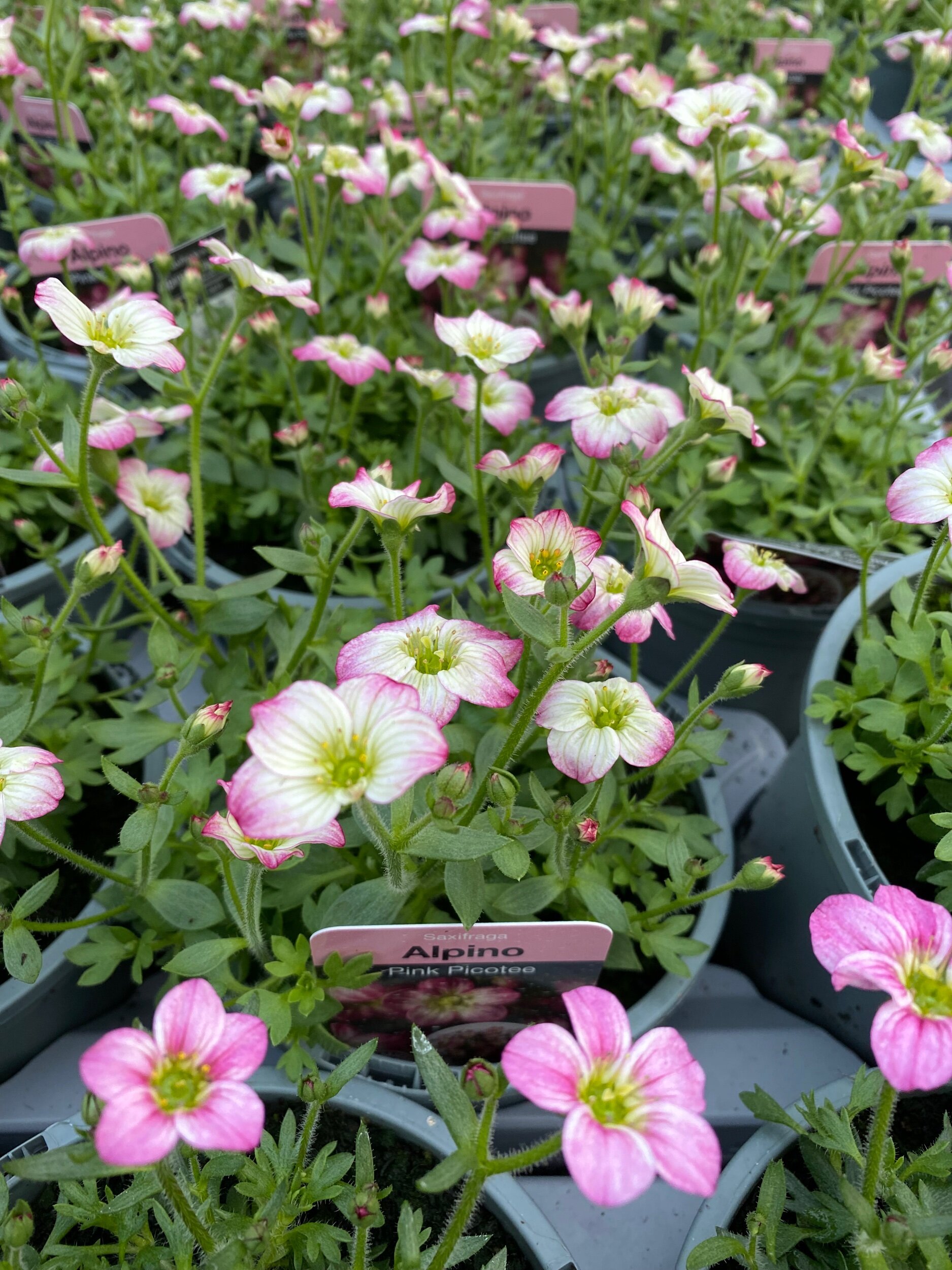 A3F36D63-90A2-49B1-92CD-5802DAF73B5B