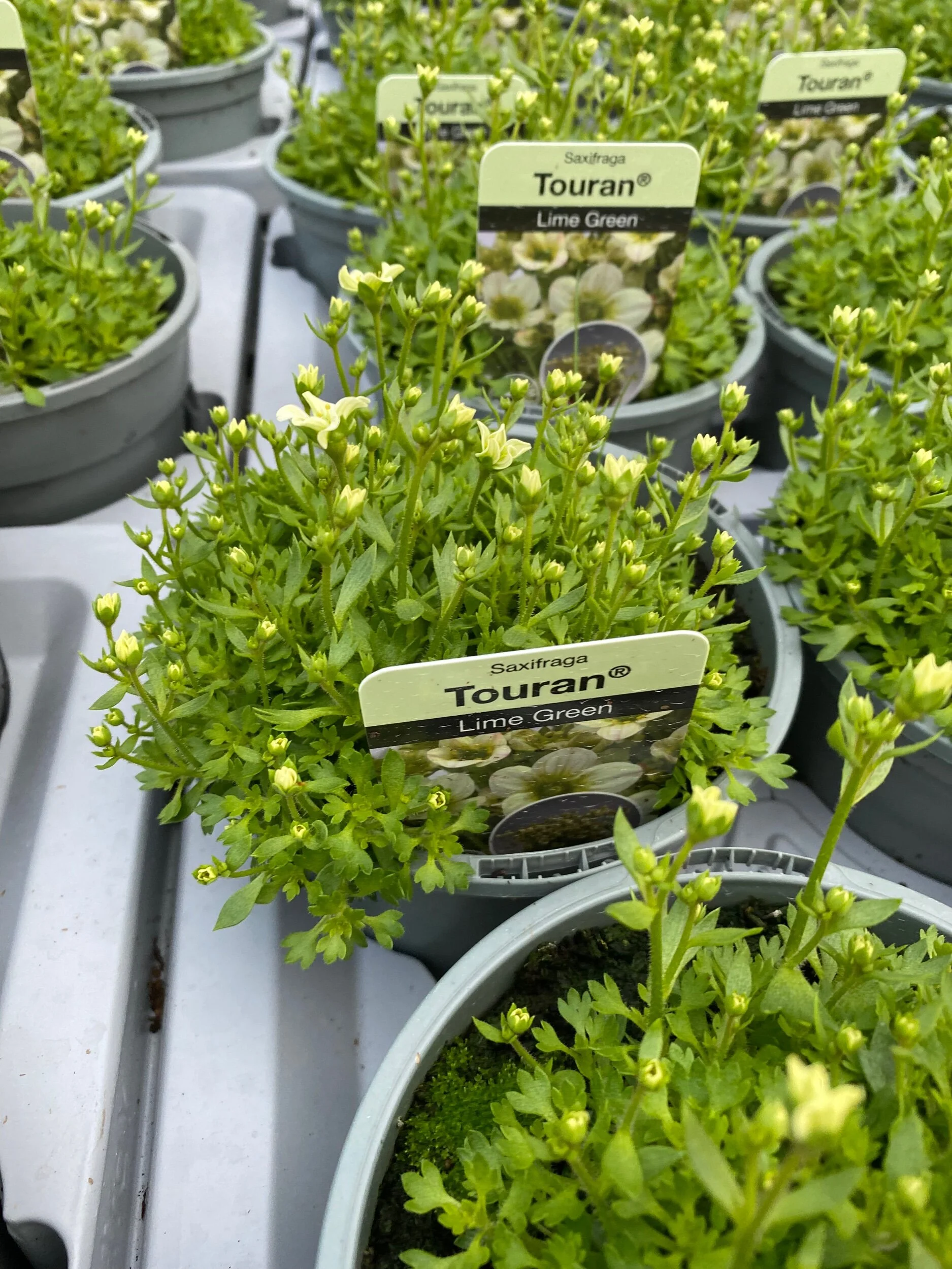 867C0CBD-1C27-4950-BA54-31288617476A