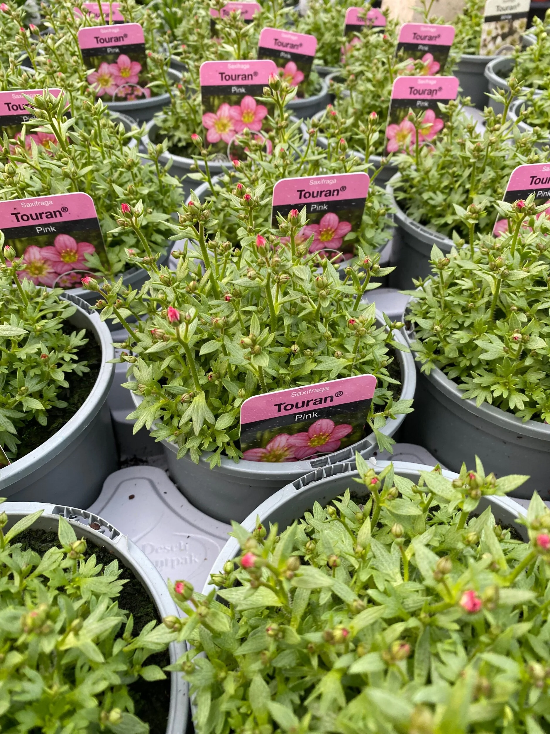 2E683E86-57EC-4D40-9906-9B60BE646866