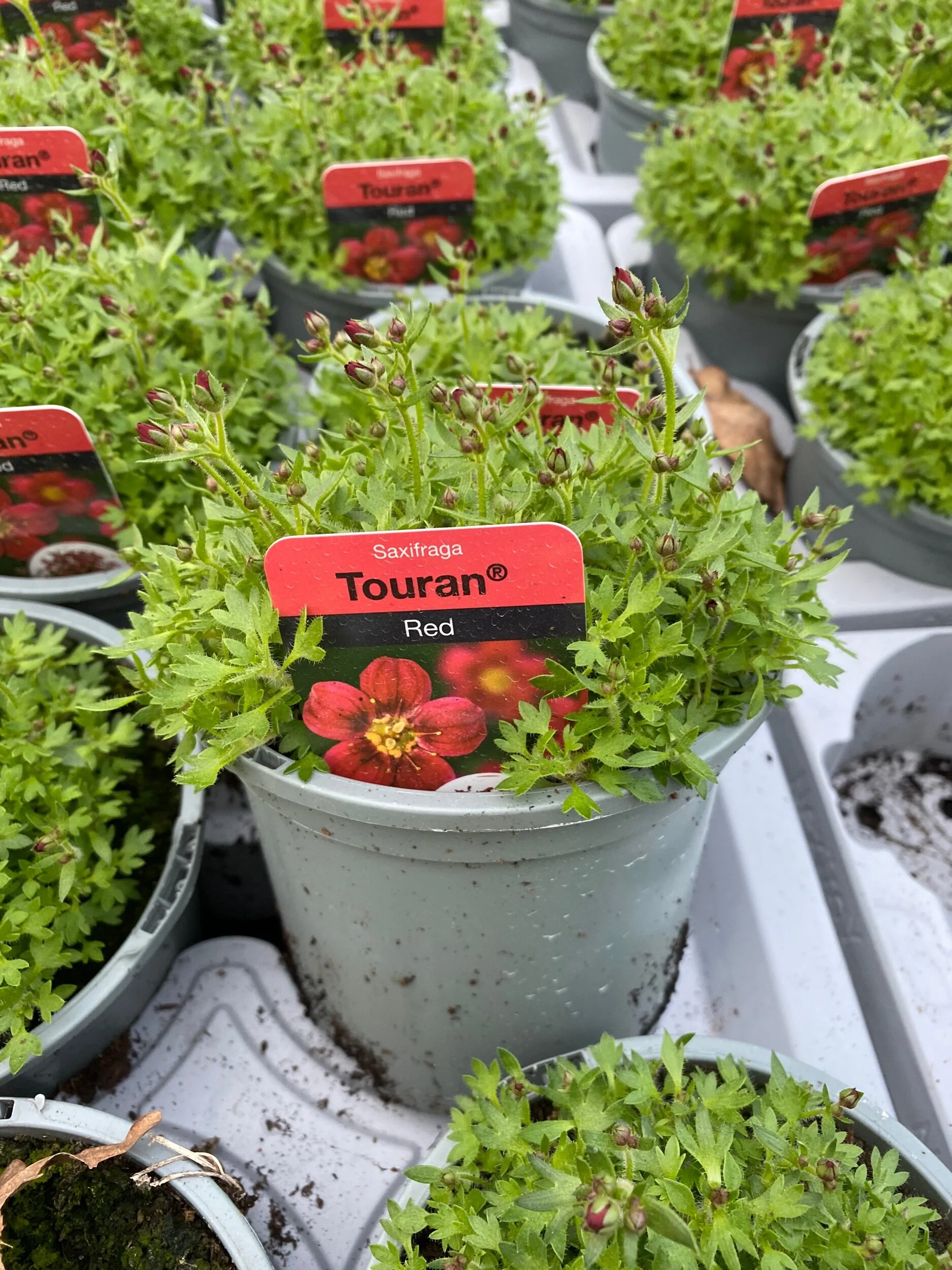 5C3CD7FE-F886-4900-BB5B-343CCA477AEA