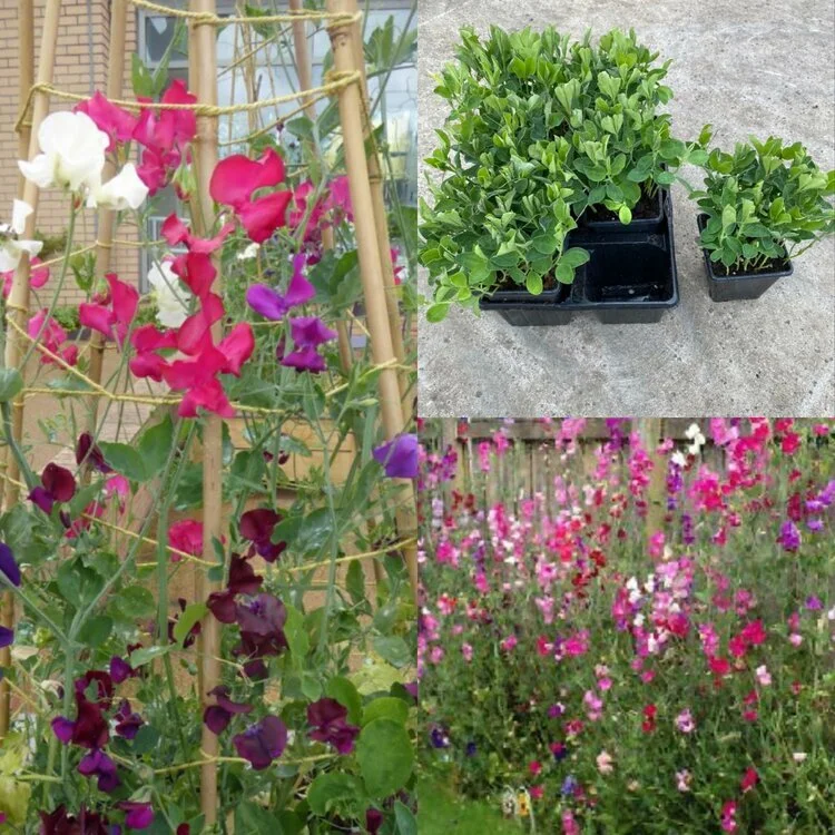 23C31917-8836-4CA6-AD99-074DC2FF1325