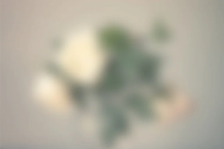 Frosted Glass for a frosty winter!