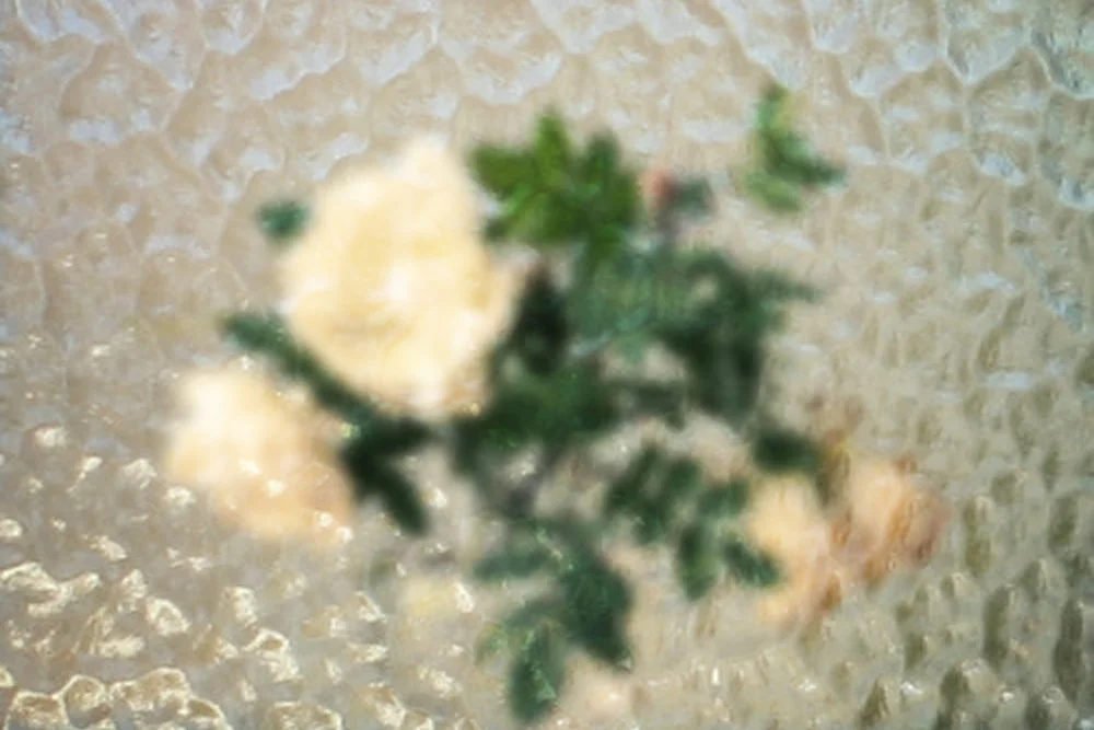 Feature Highlight - Aquatex Glass 