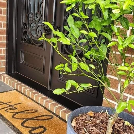 Featured content: Makingmarbella on Instagram