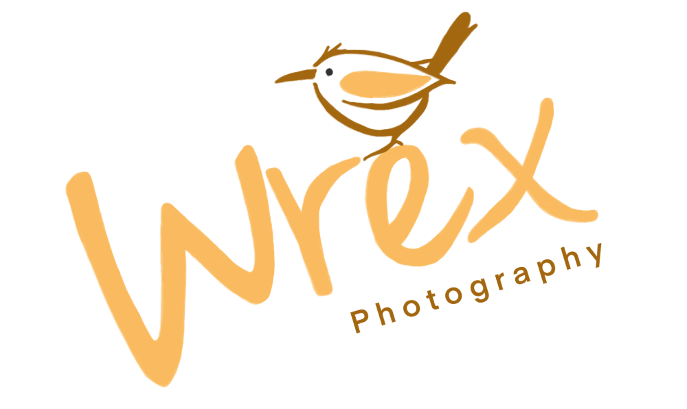 wrex-photography_updated.png