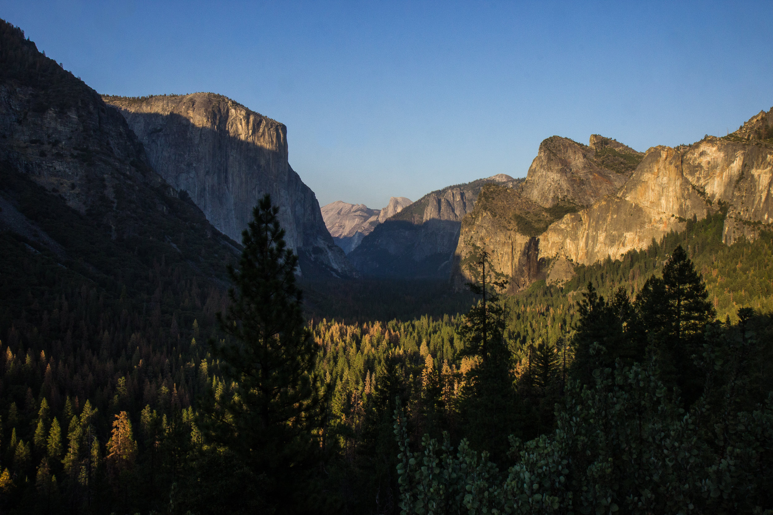 IMG_1516.jpg