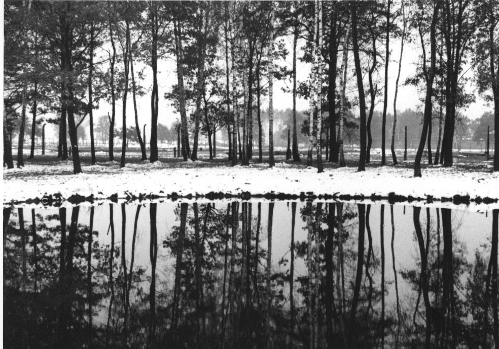 birkenau ash pond.jpg