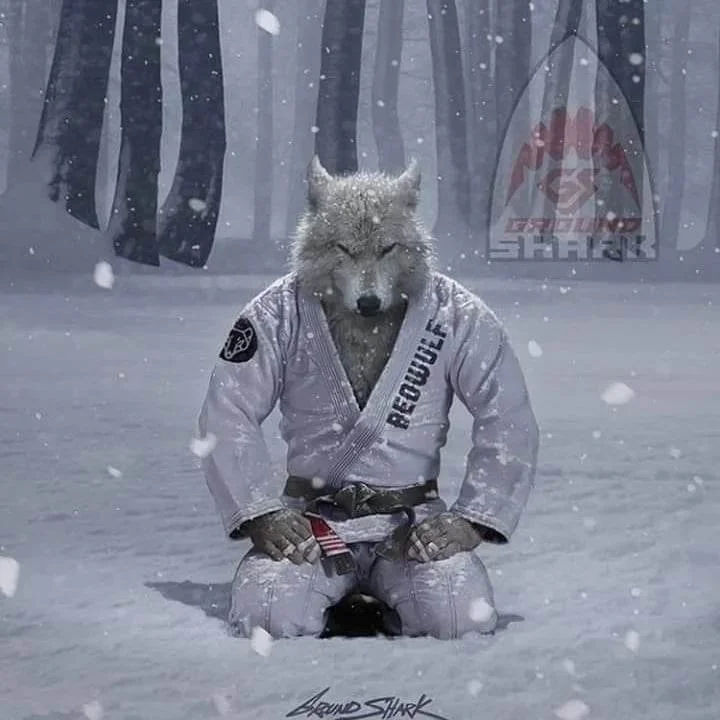 R E S O L U T I O N S