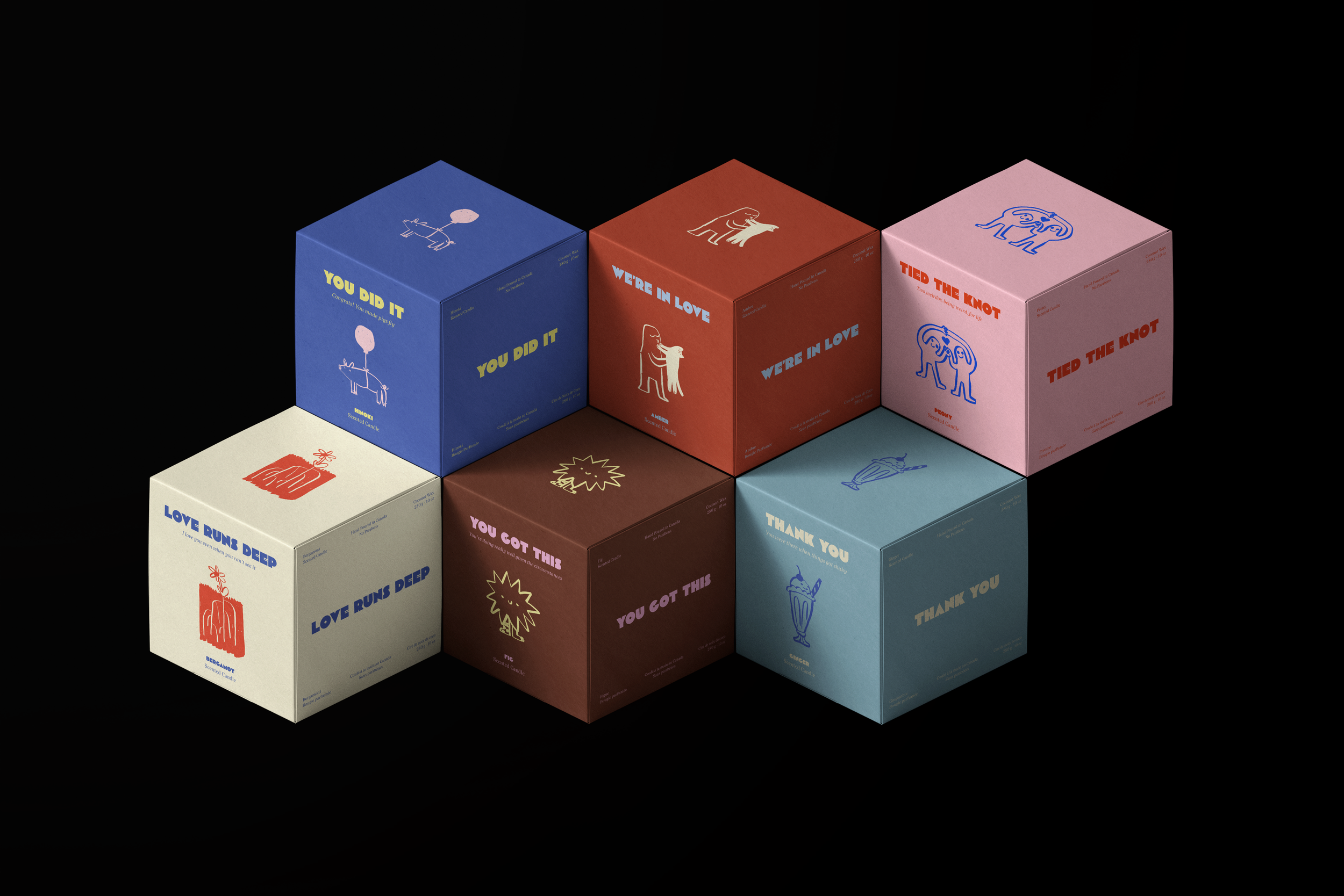 box-mockups-on-black-background-isometric copy.png