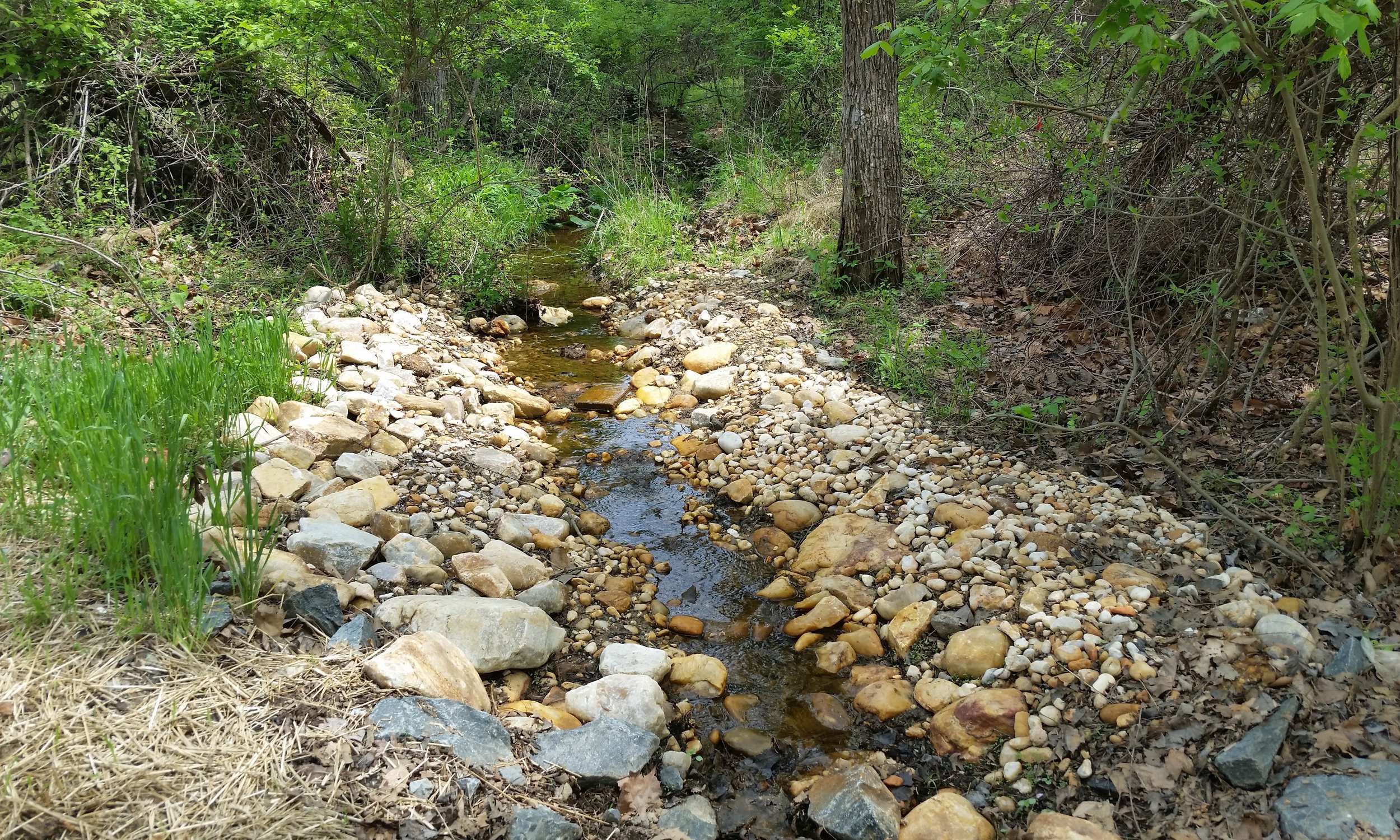 Wheel Creek Watershed Assessment, Stream Restoration & Stormwater Management Retrofits