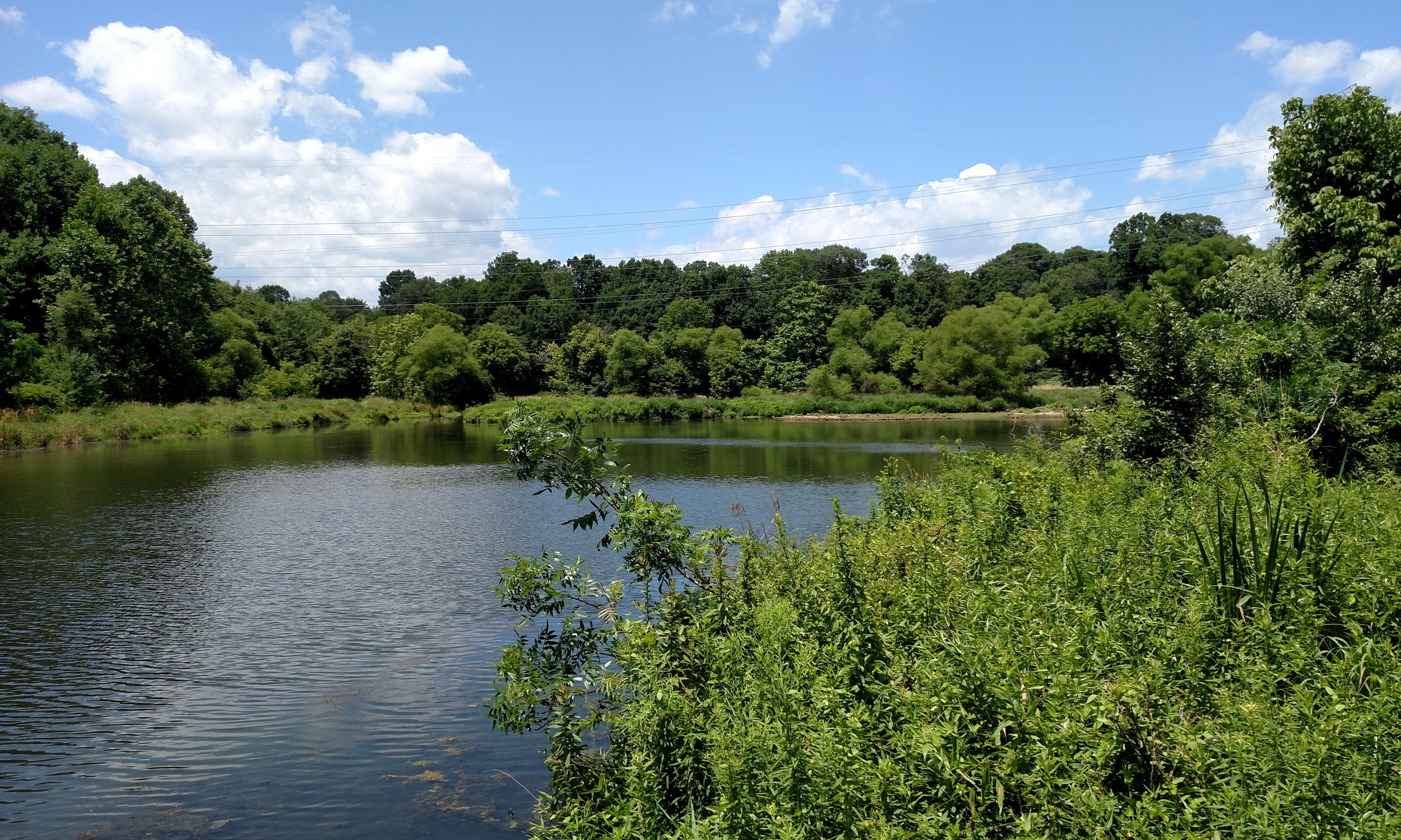 Lake Sediment Management Plans - Wilde Lake, Lake Kittamaqundi and Lake Elkhorn