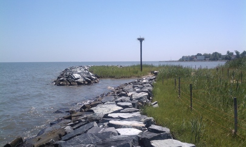 Dennis Point Living Shoreline