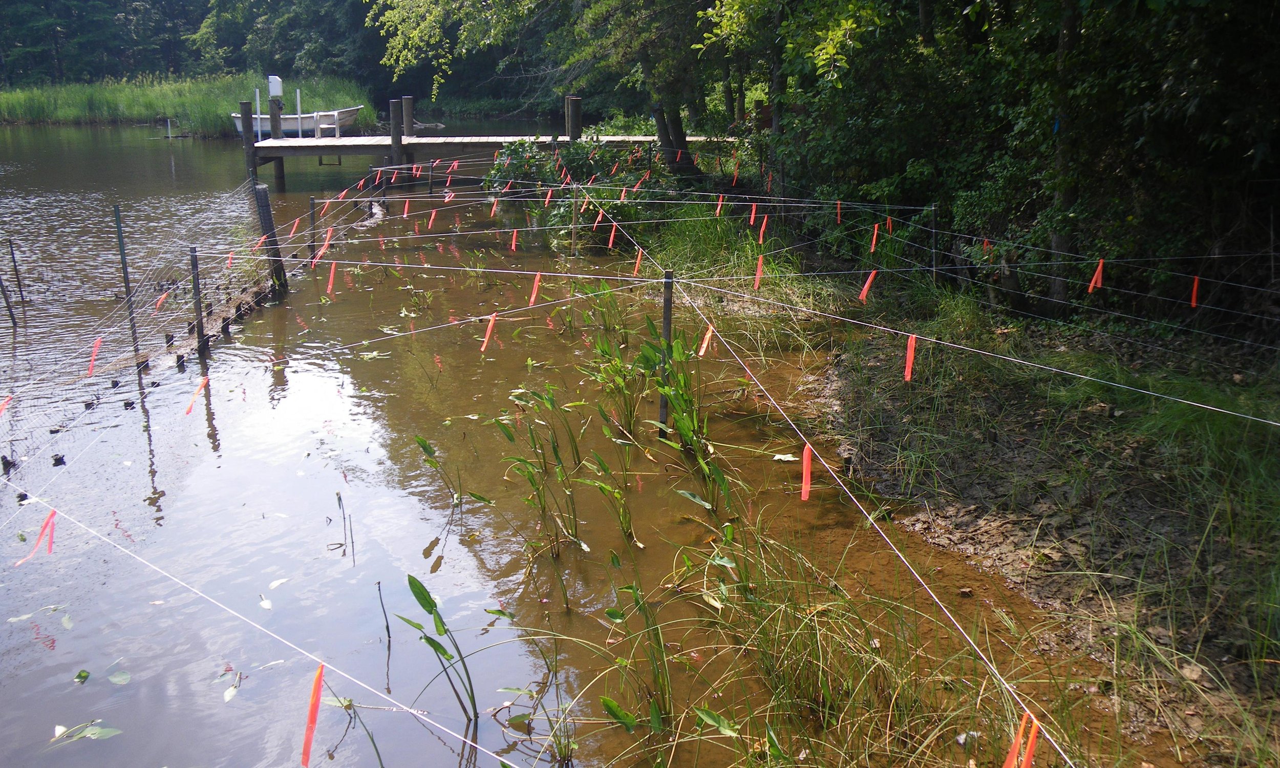 Mill Creek Headwaters Restoration