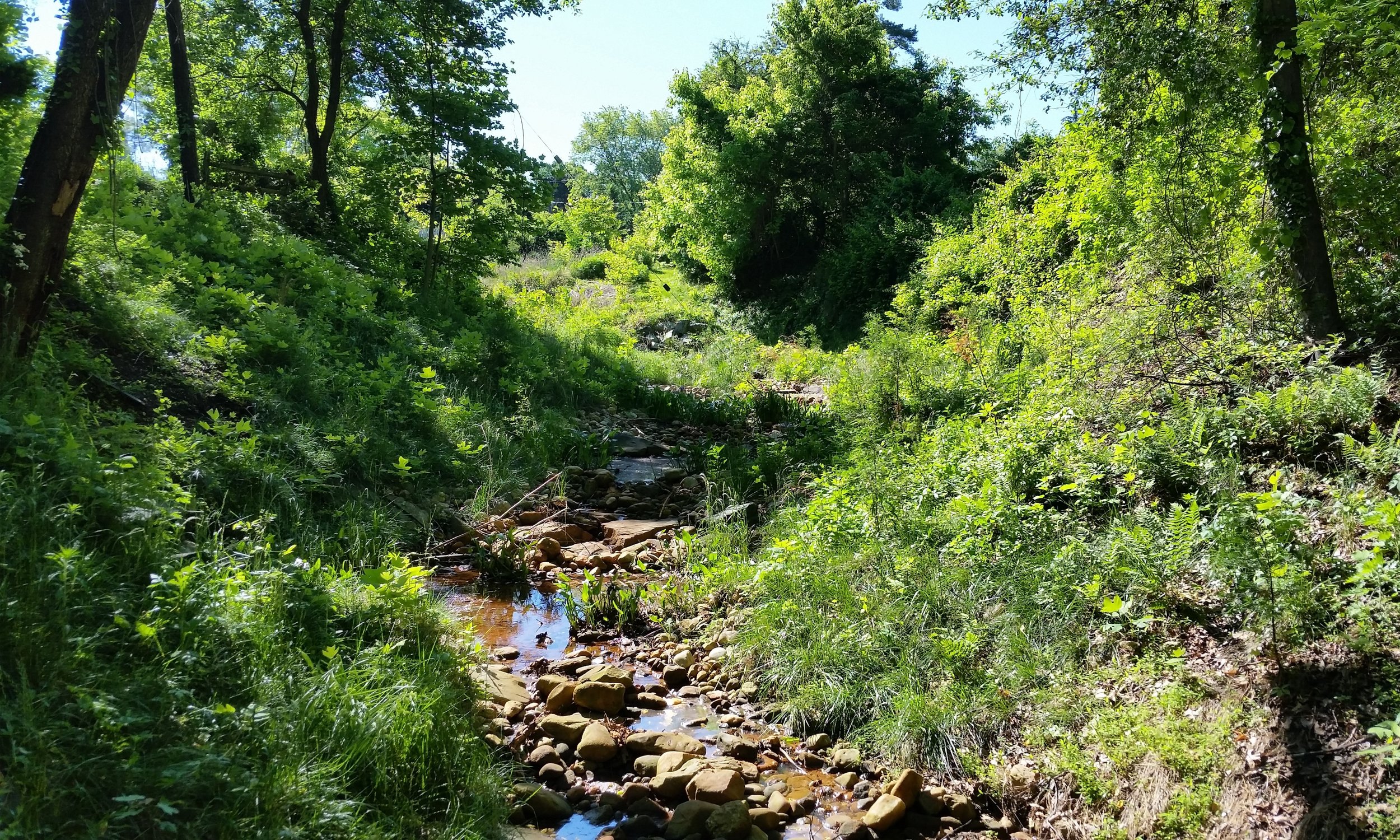 Haskell Drive Outfall Retrofit