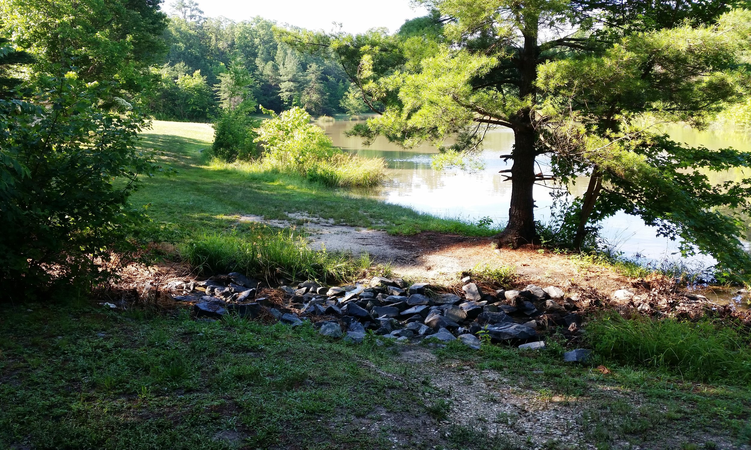 Upper Zekiah Swamp Watershed MS4 Retrofit Investigation