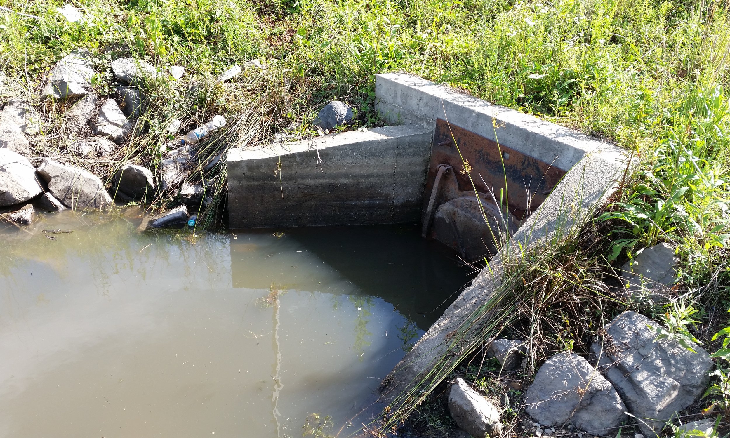Upper Zekiah Swamp Watershed MS4 Retrofit Investigation