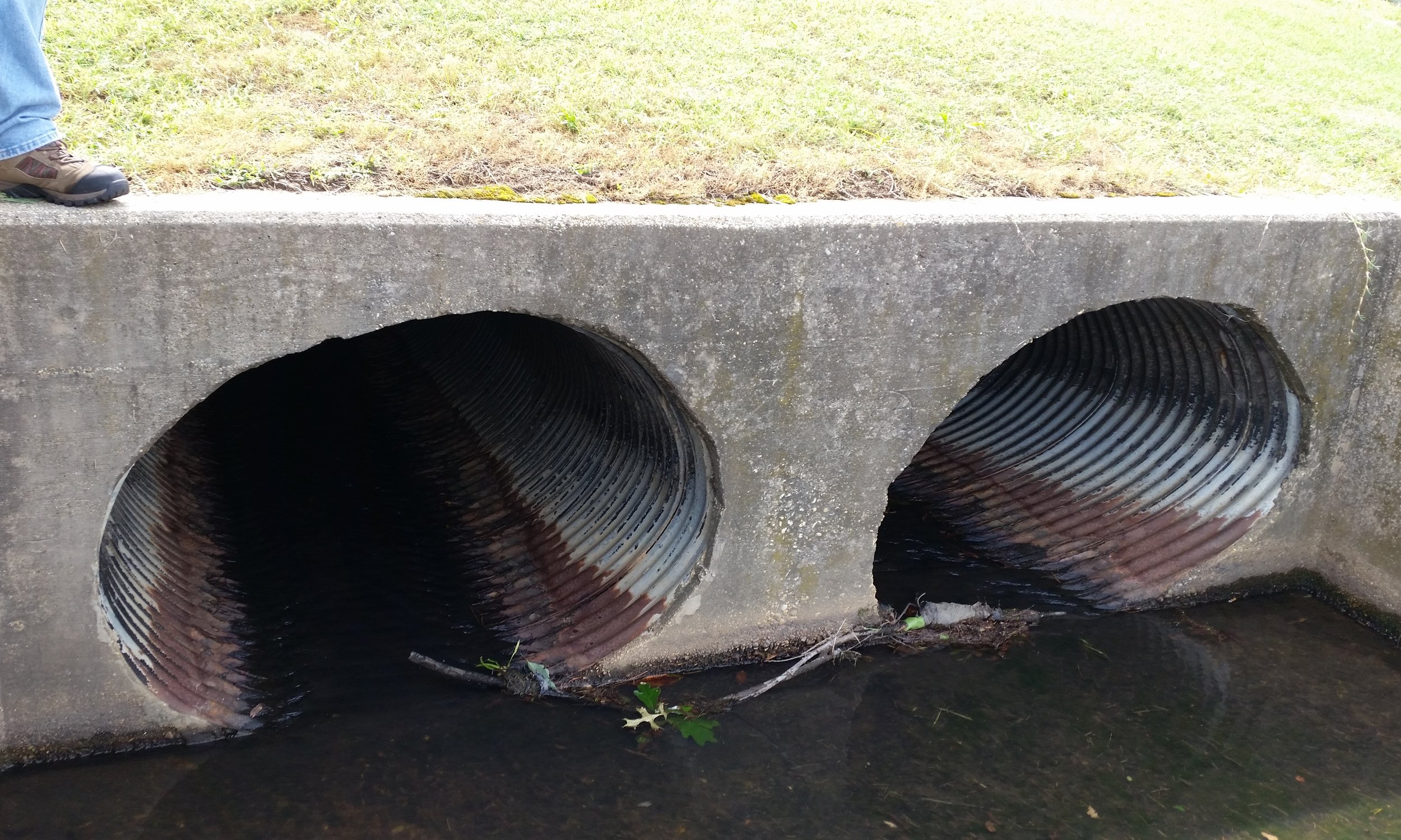 Upper Zekiah Swamp Watershed MS4 Retrofit Investigation