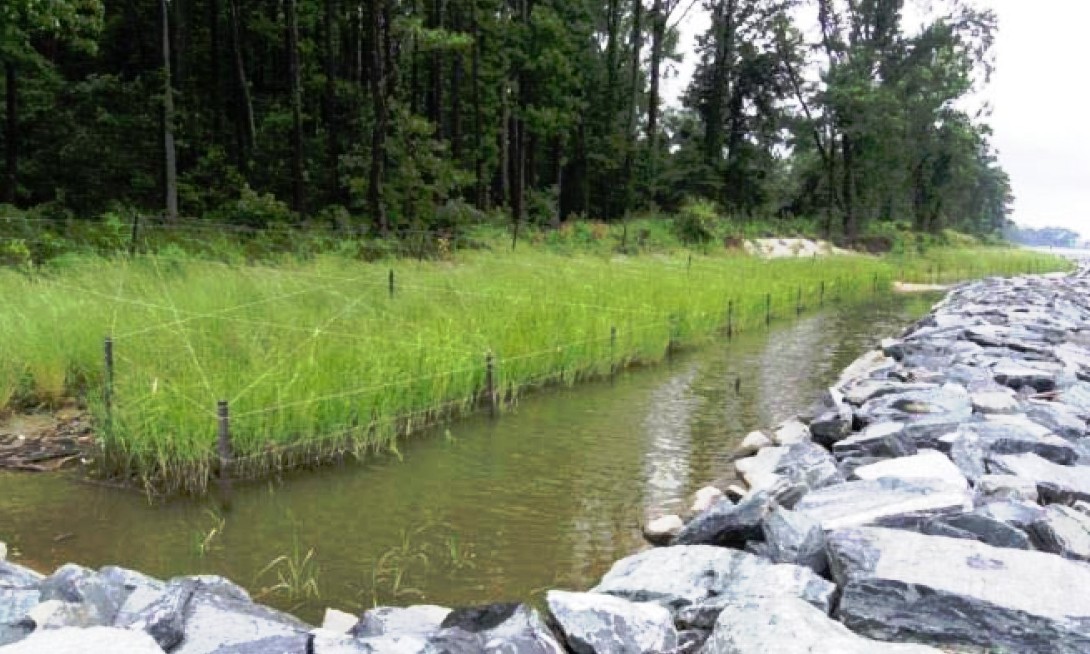 Essex Skypark Living Shoreline
