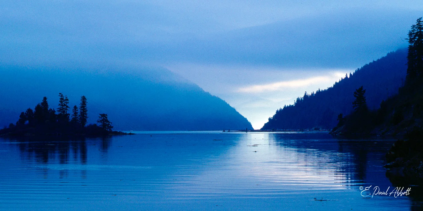 Misty Morning BC.jpg