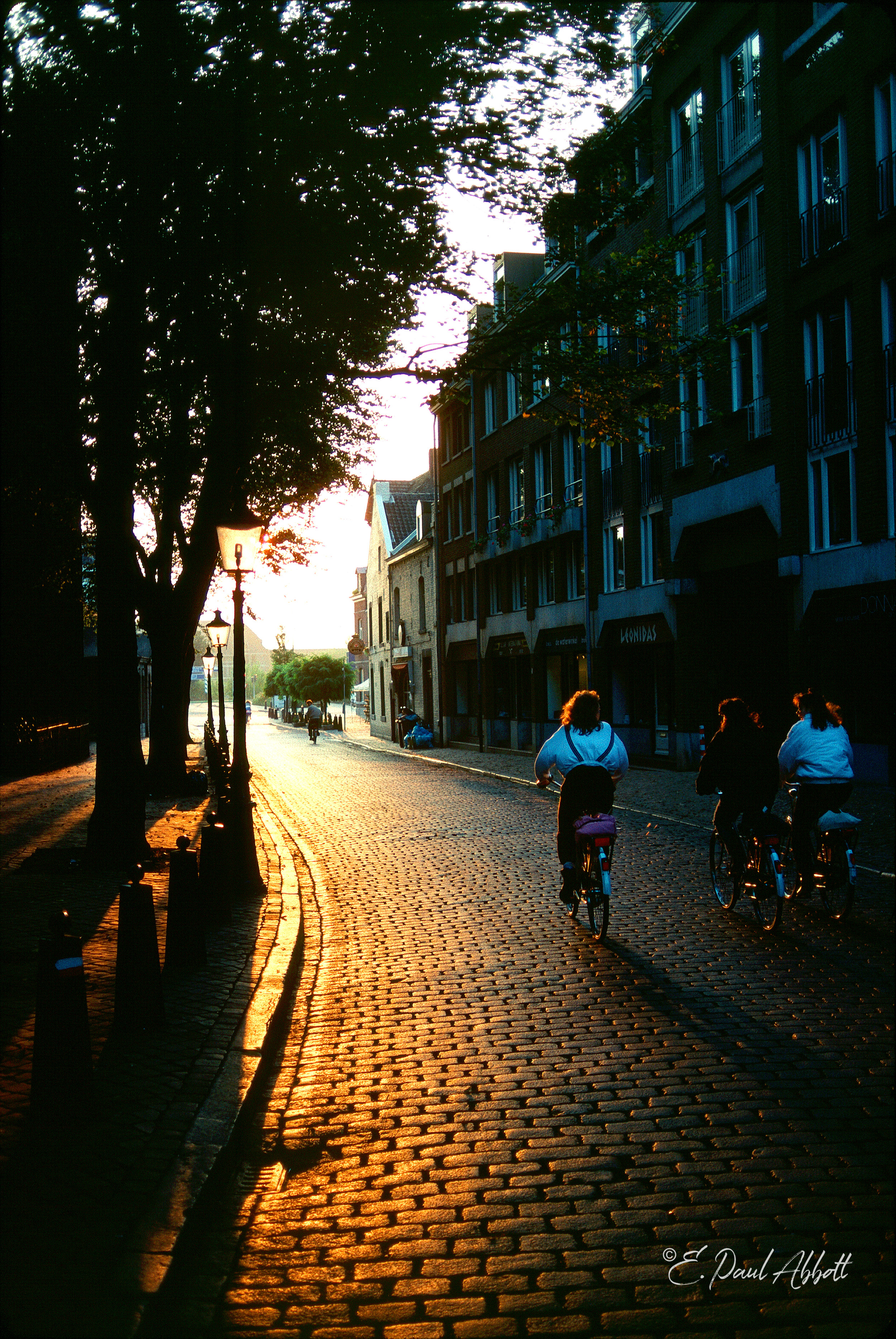 Cobblestone Bikes Holland.jpg