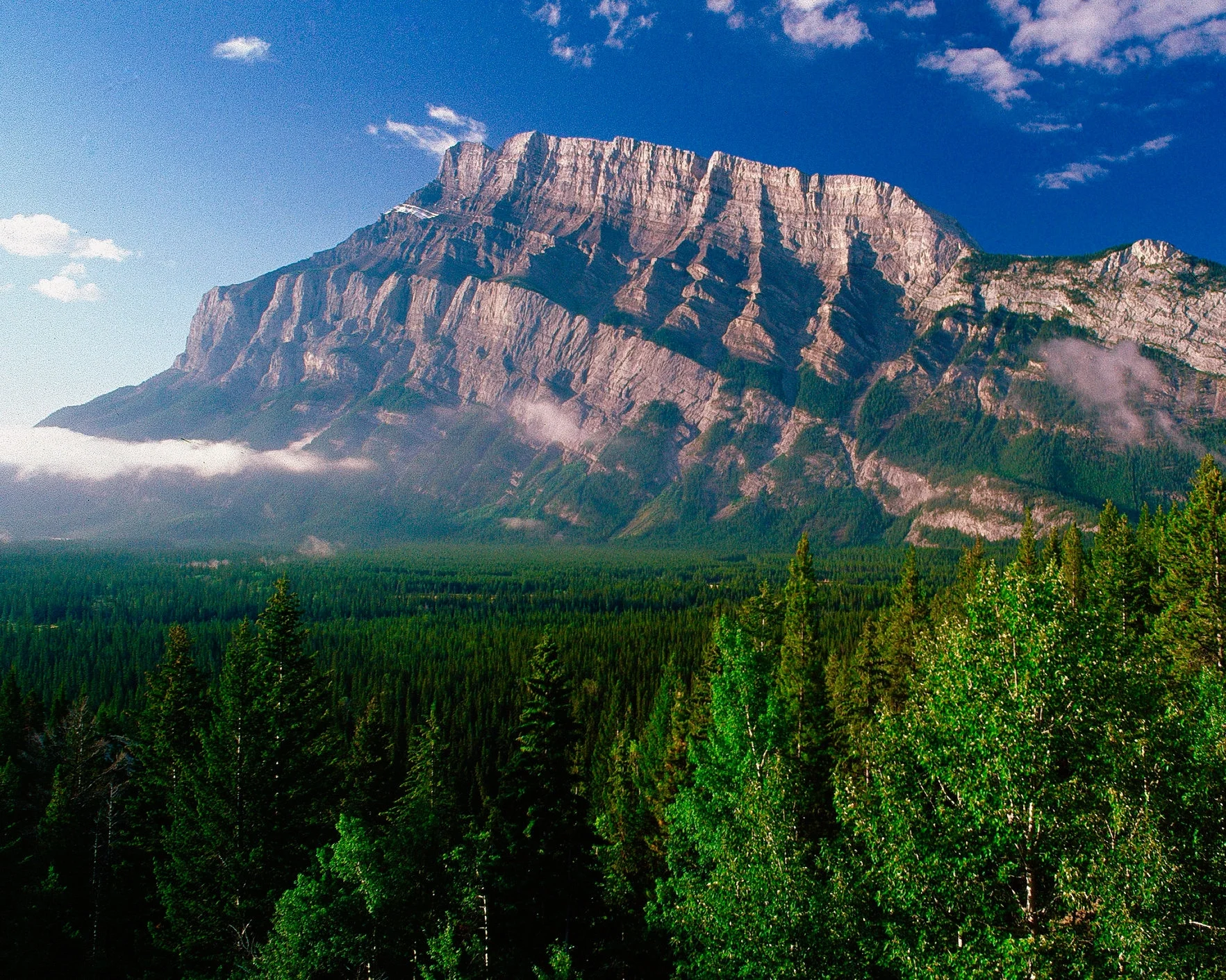 Near Banf Alberta.jpg