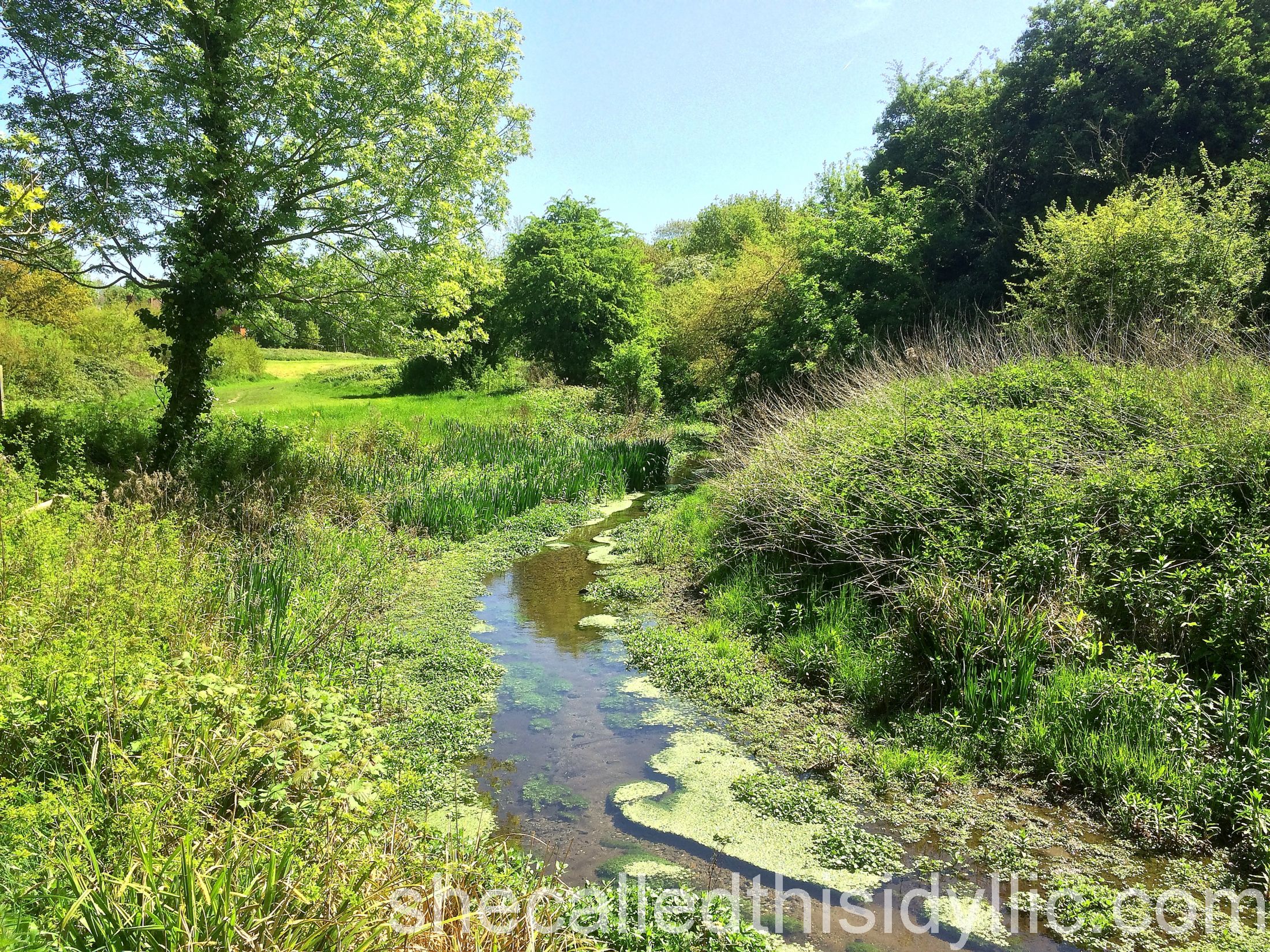 We Used To Believe In Rain